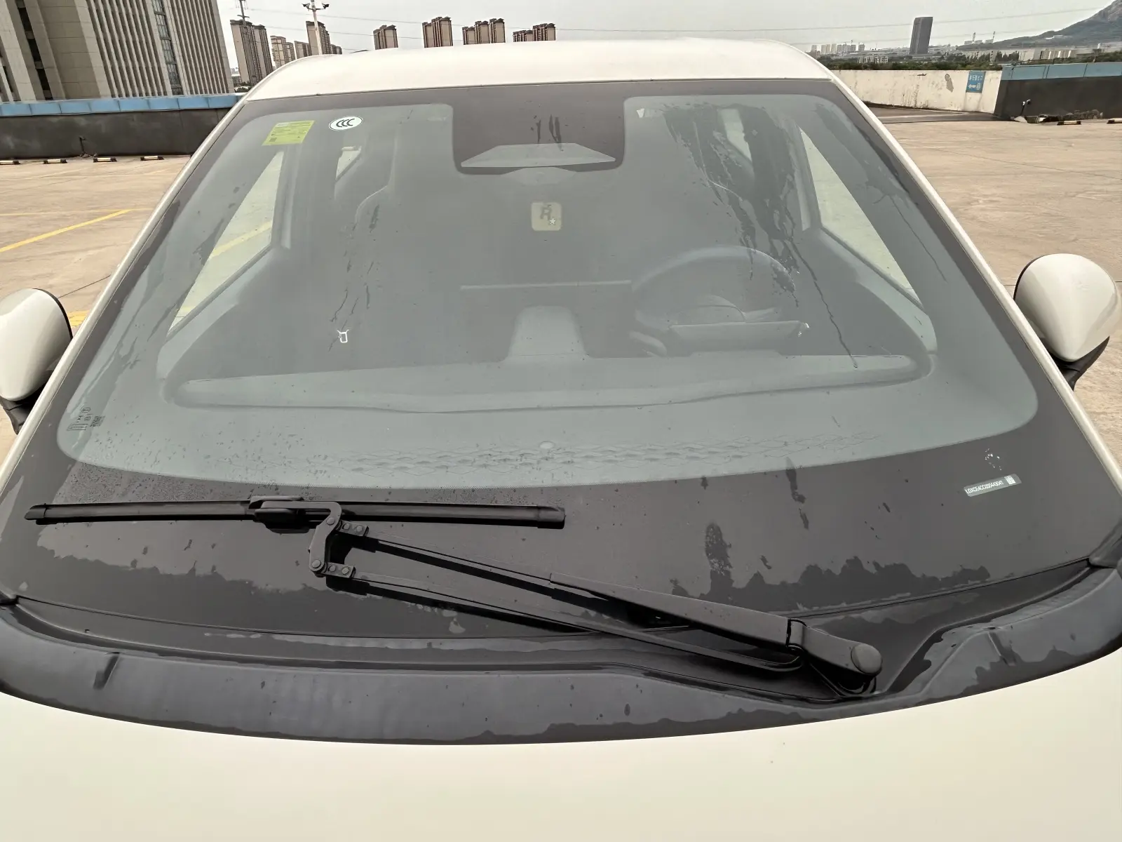 BYD Seagull, 2025