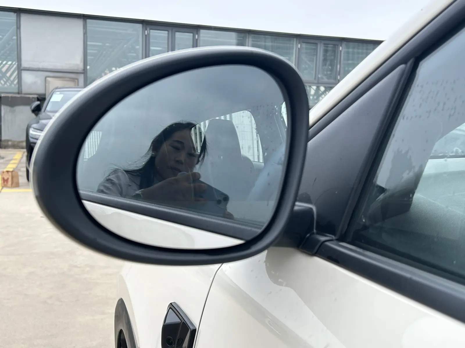 BYD Seagull, 2025