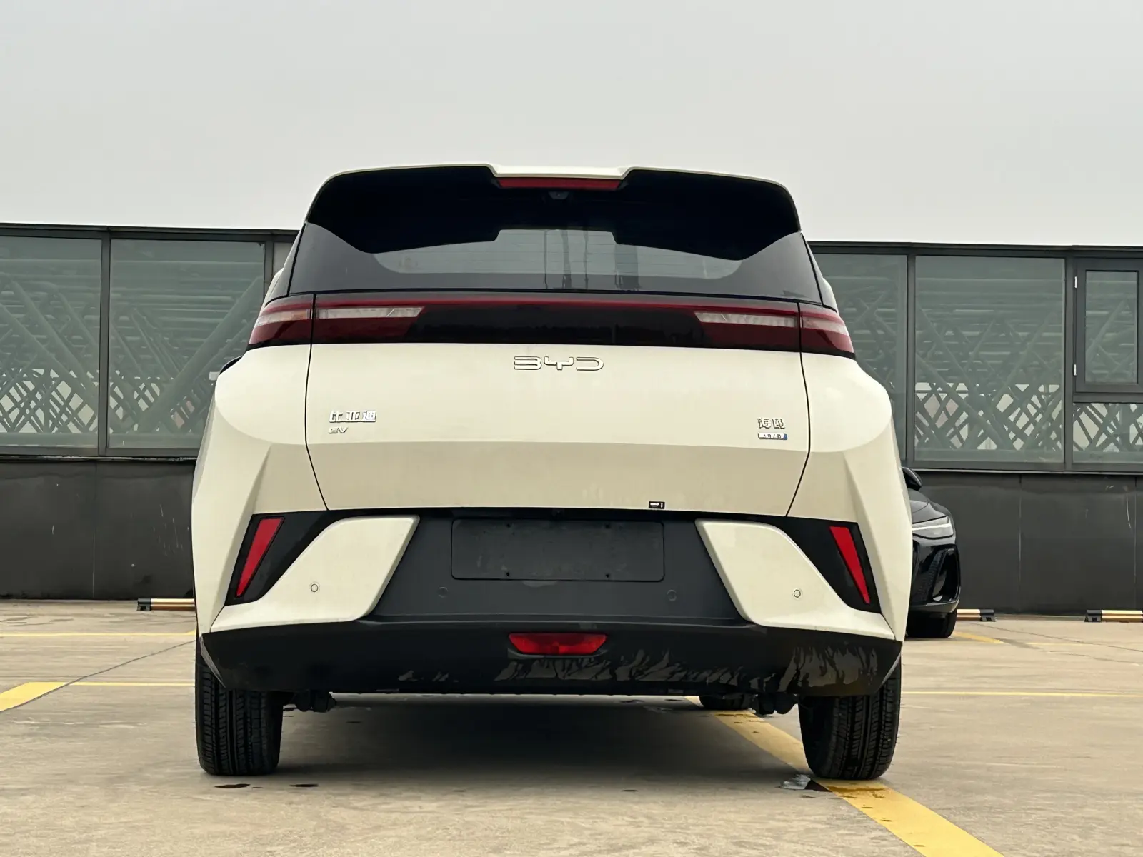 BYD Seagull, 2025