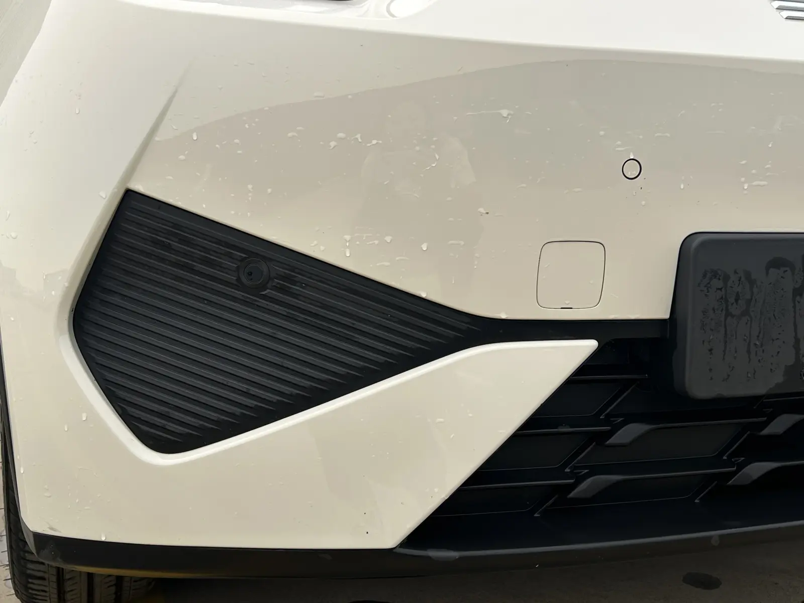 BYD Seagull, 2025
