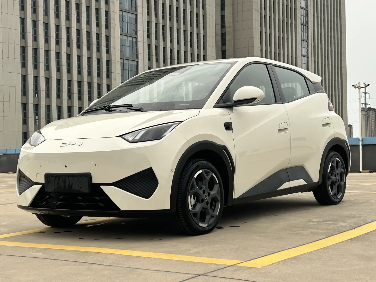BYD Seagull, 2025