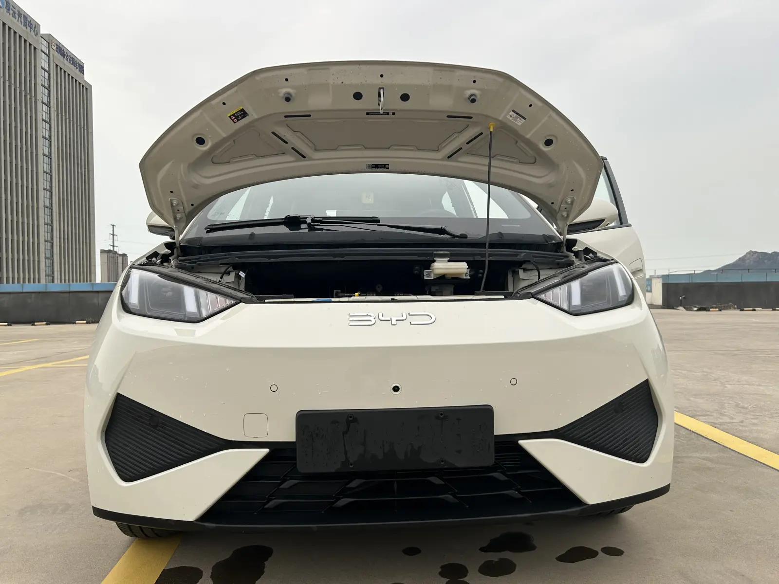 BYD Seagull, 2025