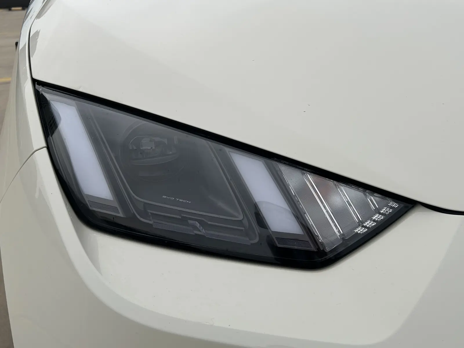 BYD Seagull, 2025