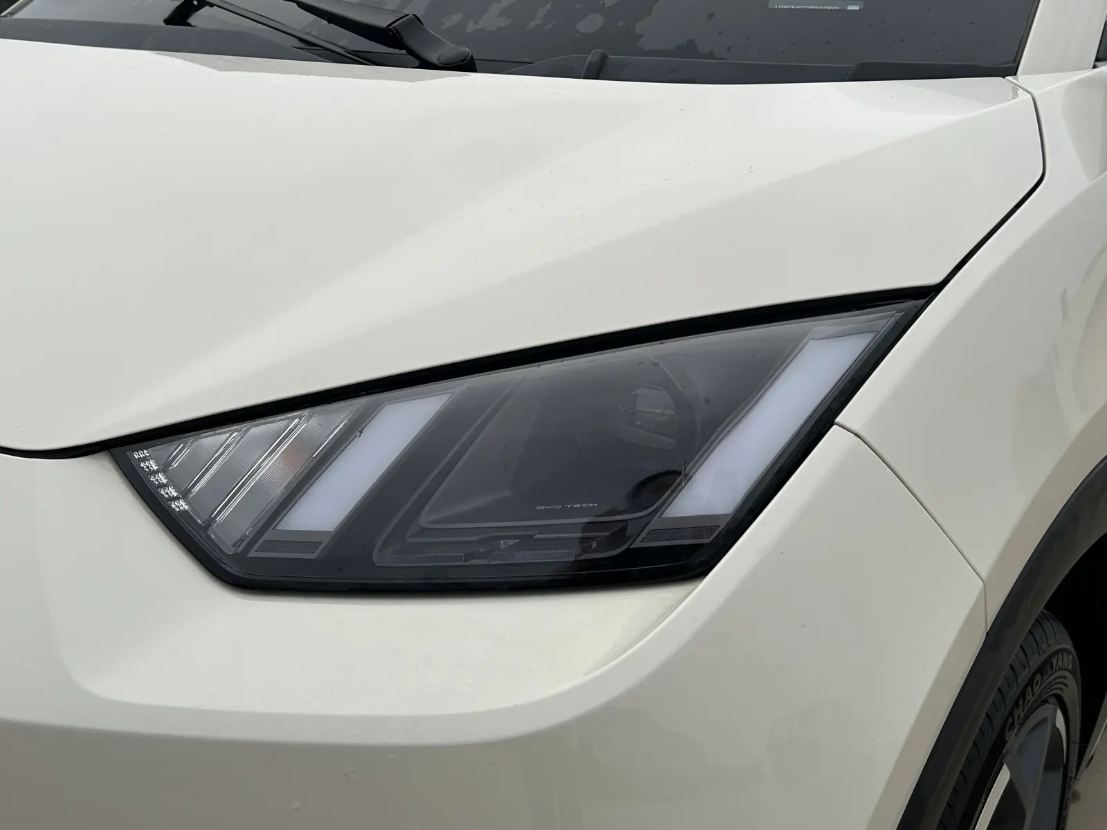 BYD Seagull, 2025