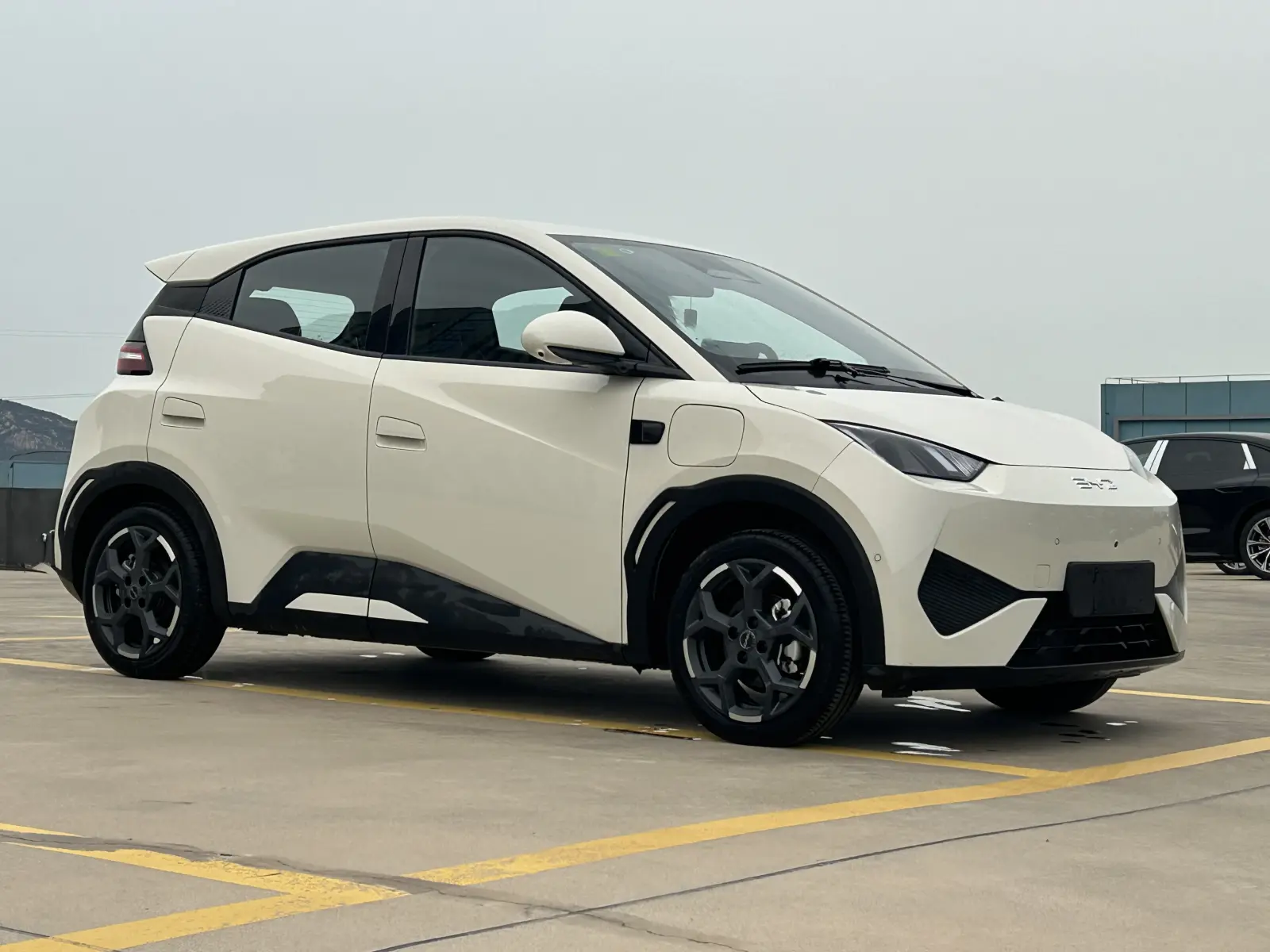BYD Seagull, 2025
