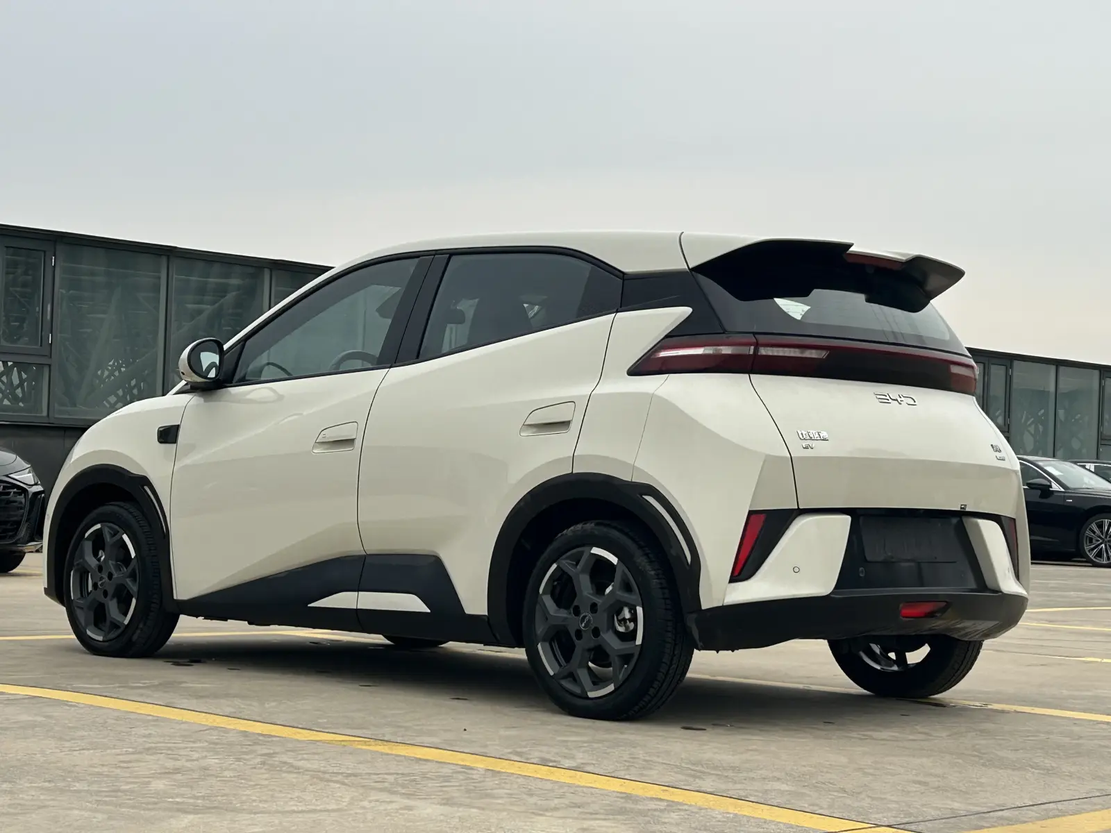BYD Seagull, 2025