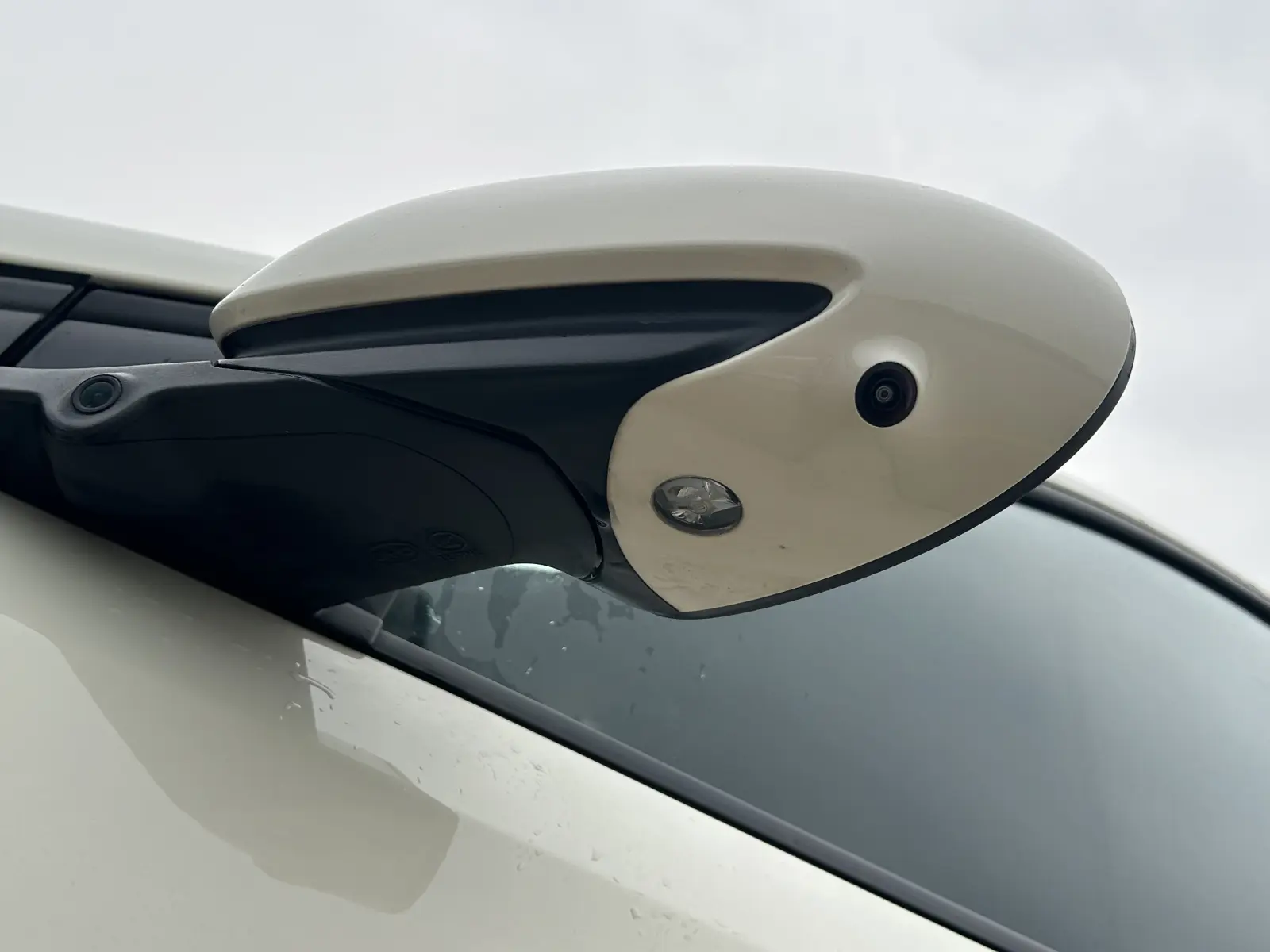 BYD Seagull, 2025
