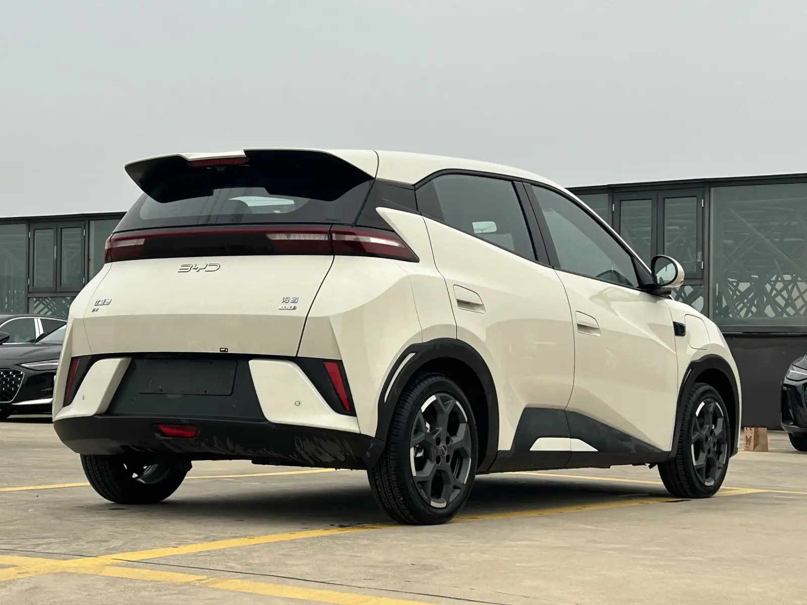 BYD Seagull, 2025