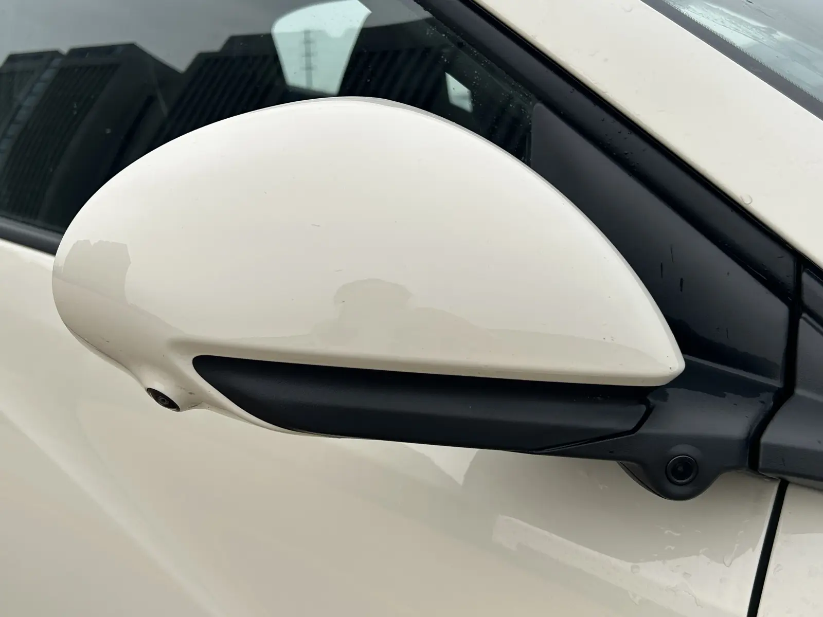 BYD Seagull, 2025