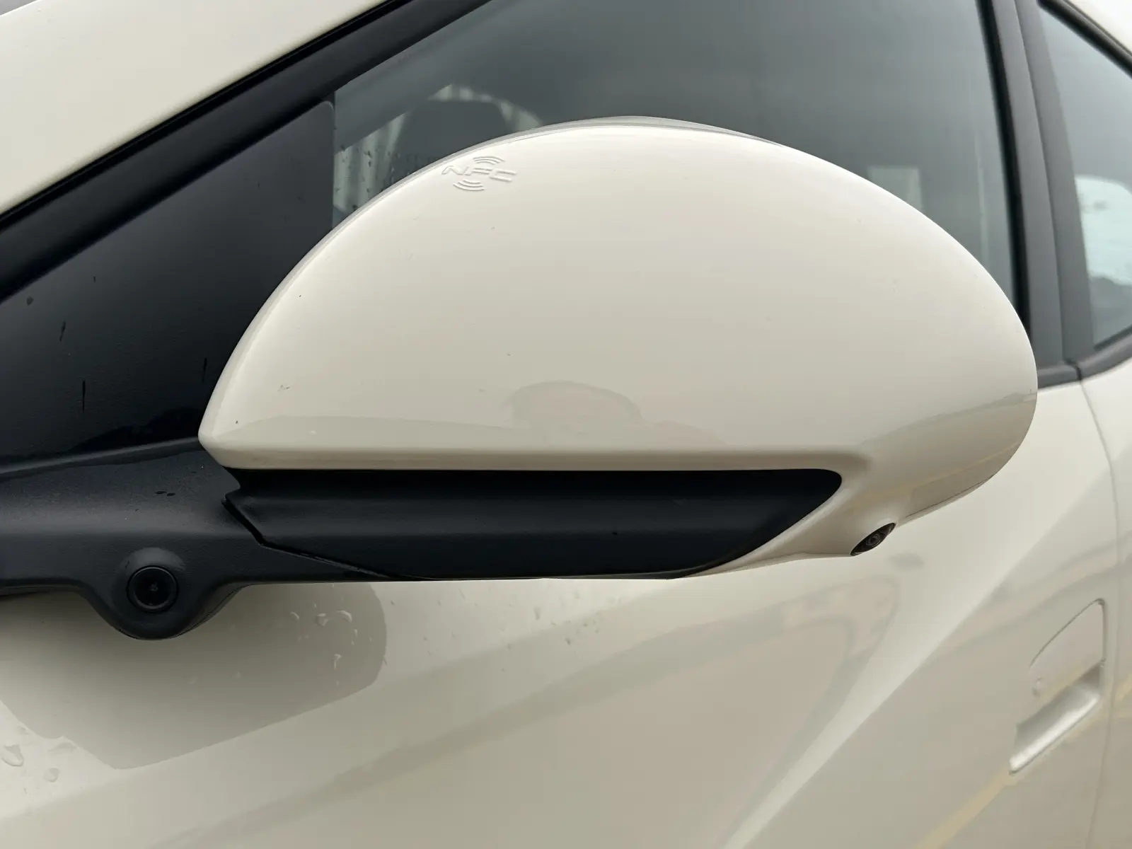 BYD Seagull, 2025