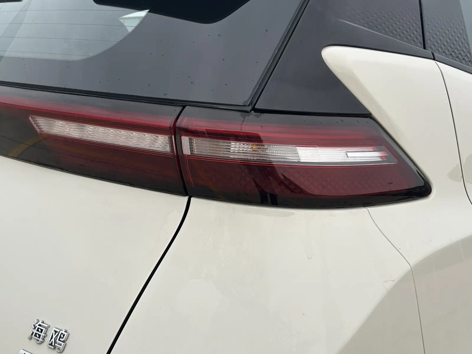 BYD Seagull, 2025