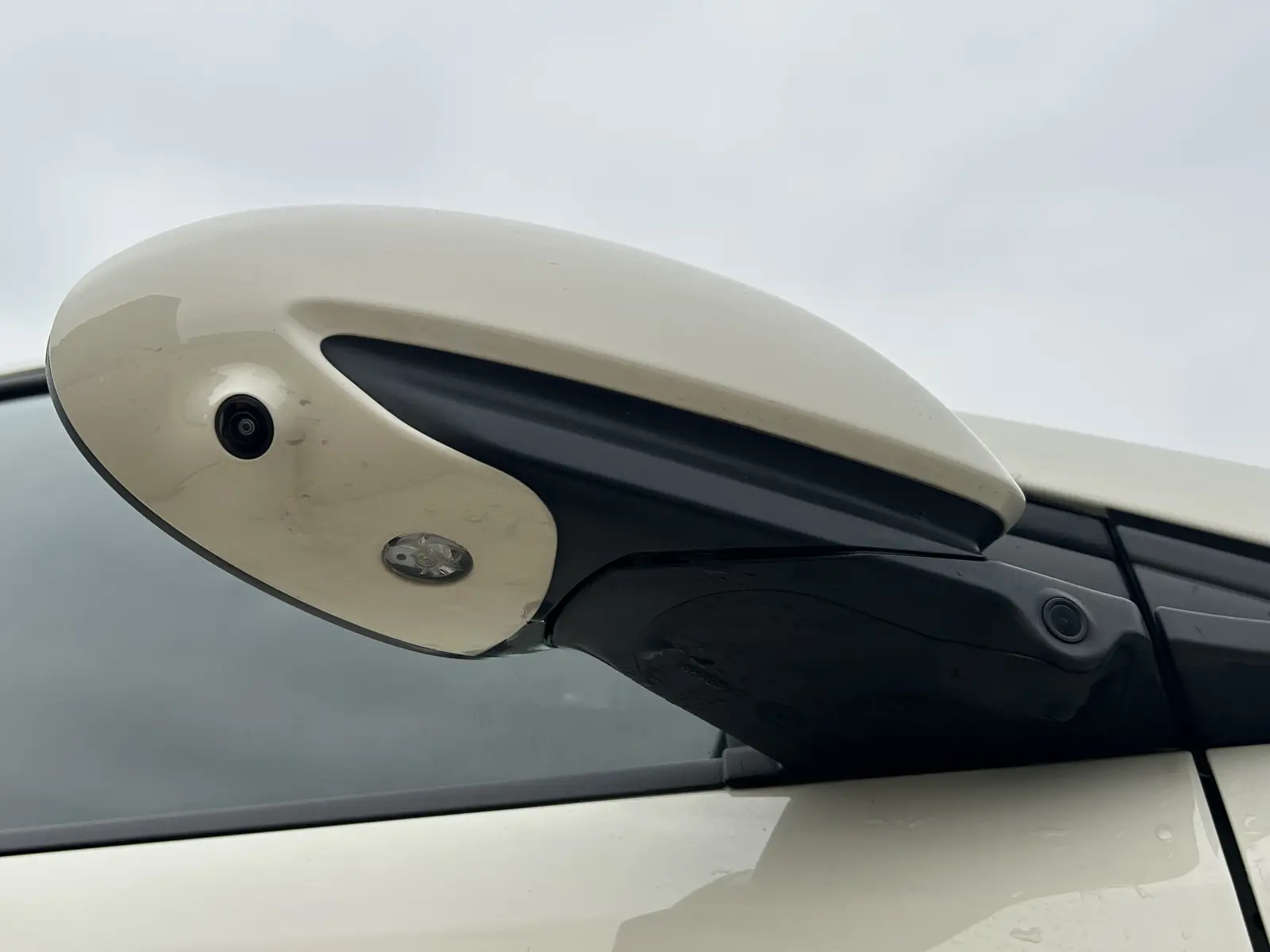 BYD Seagull, 2025
