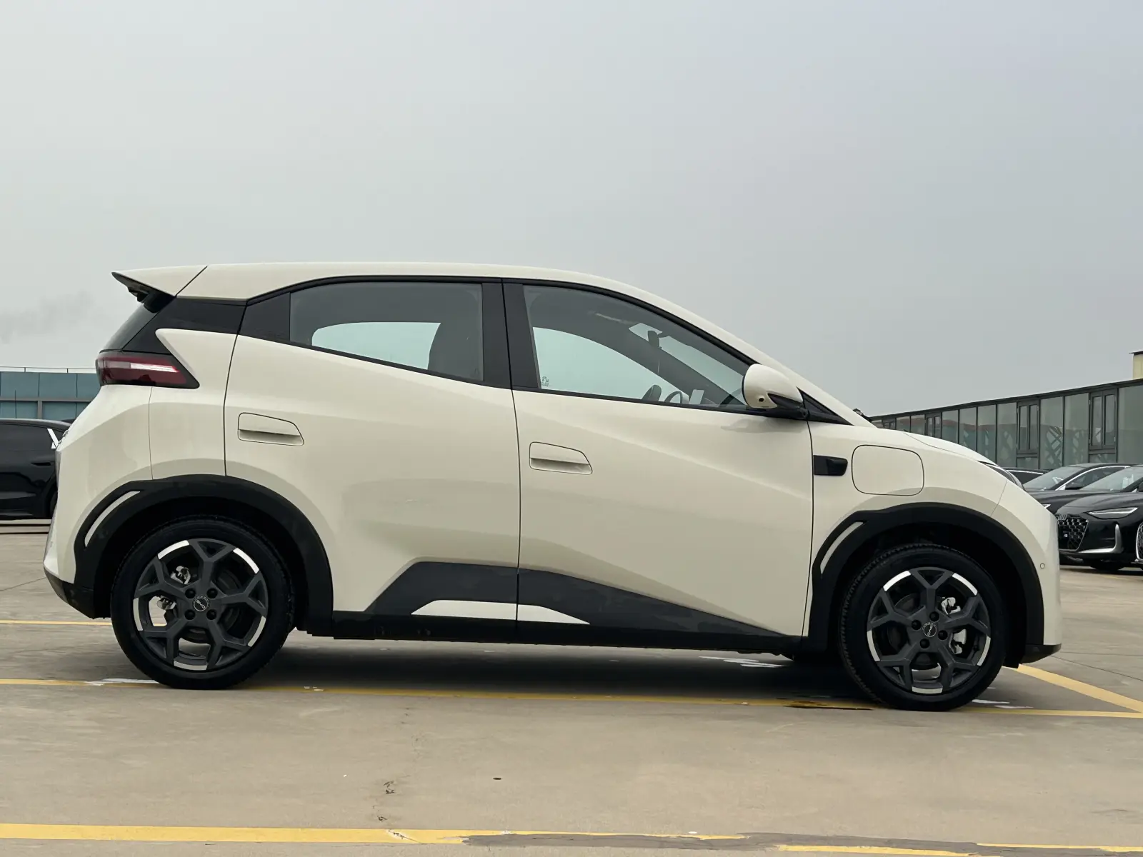 BYD Seagull, 2025