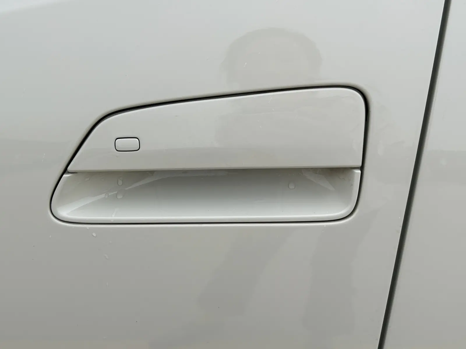 BYD Seagull, 2025