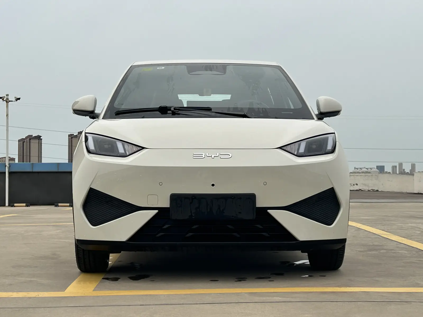 BYD Seagull, 2025