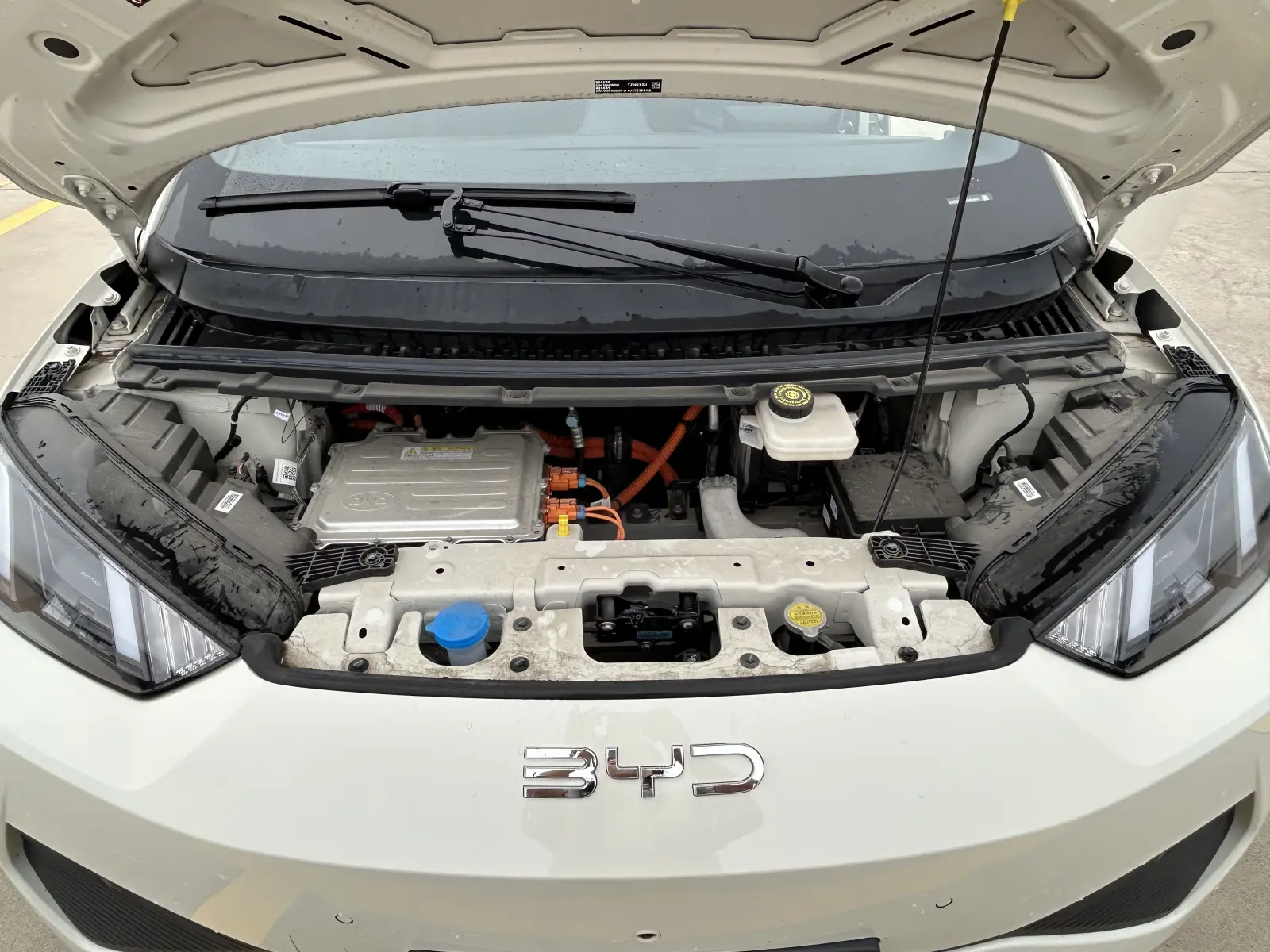BYD Seagull, 2025