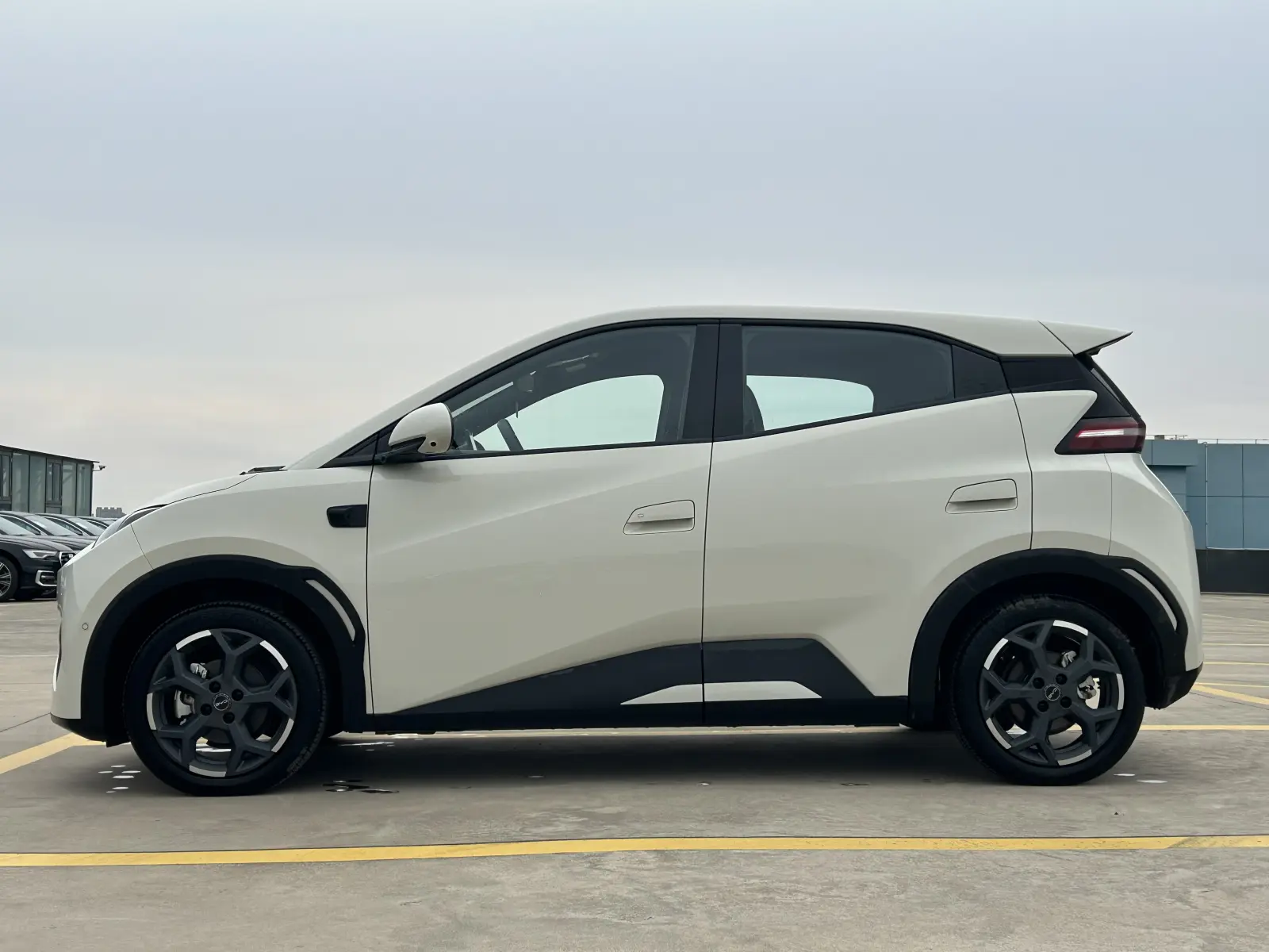 BYD Seagull, 2025