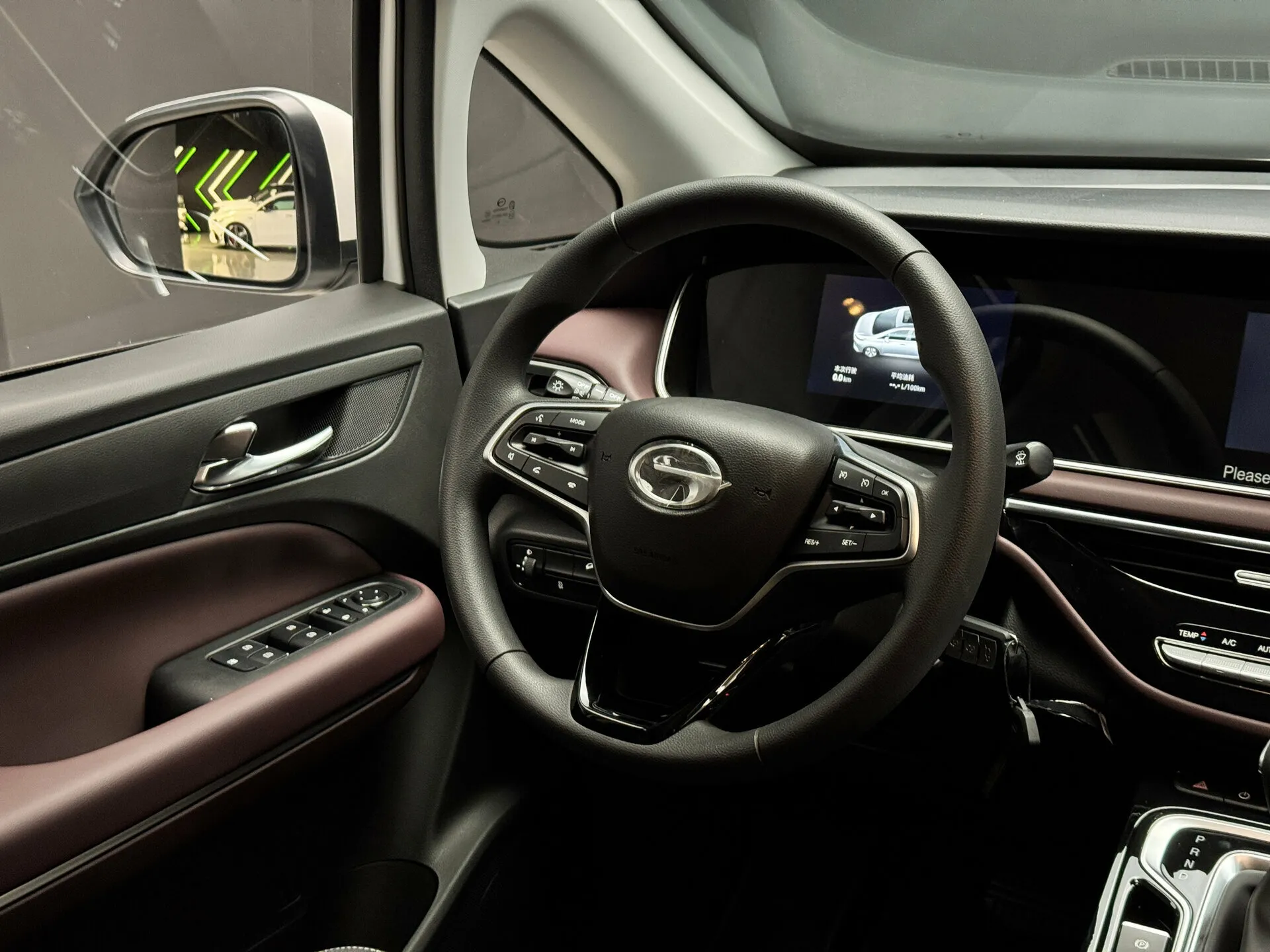 Trumpchi M6 Pro 2025 10