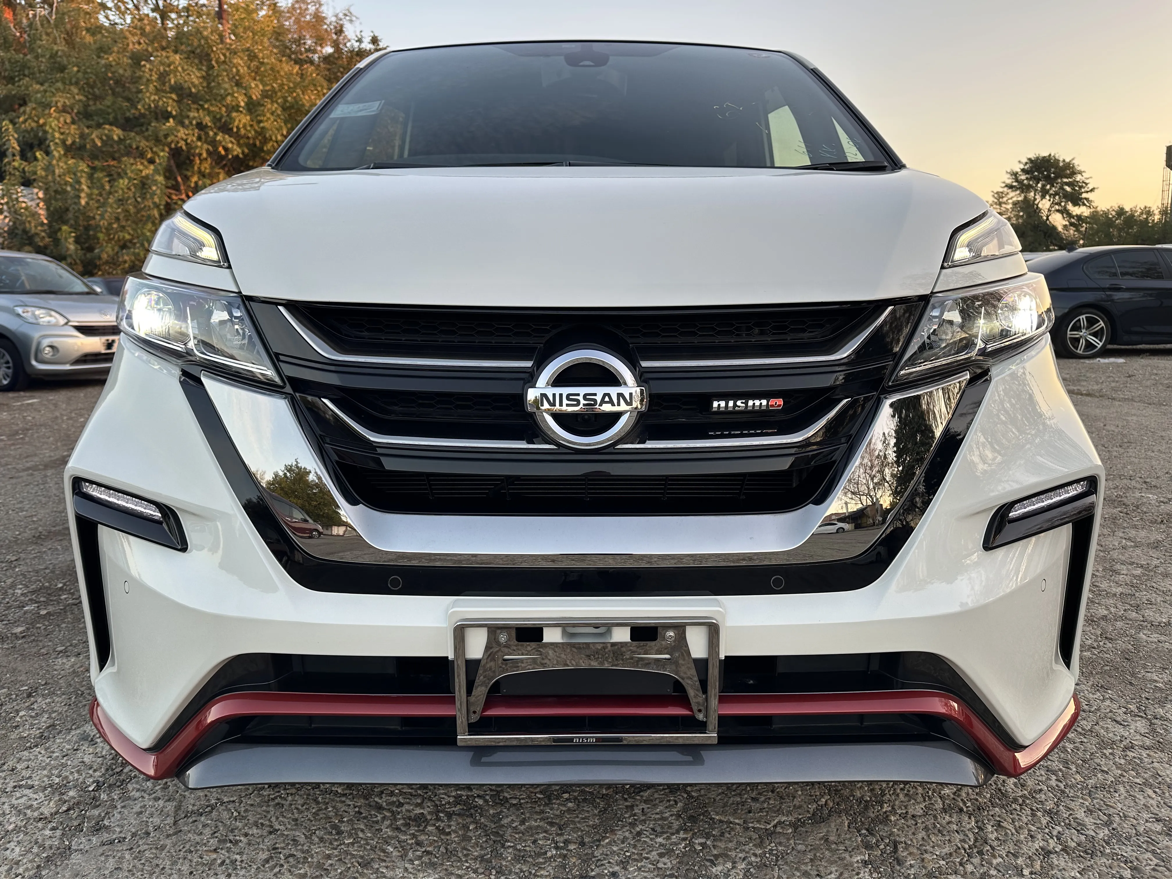 Nissan Serena, 2019