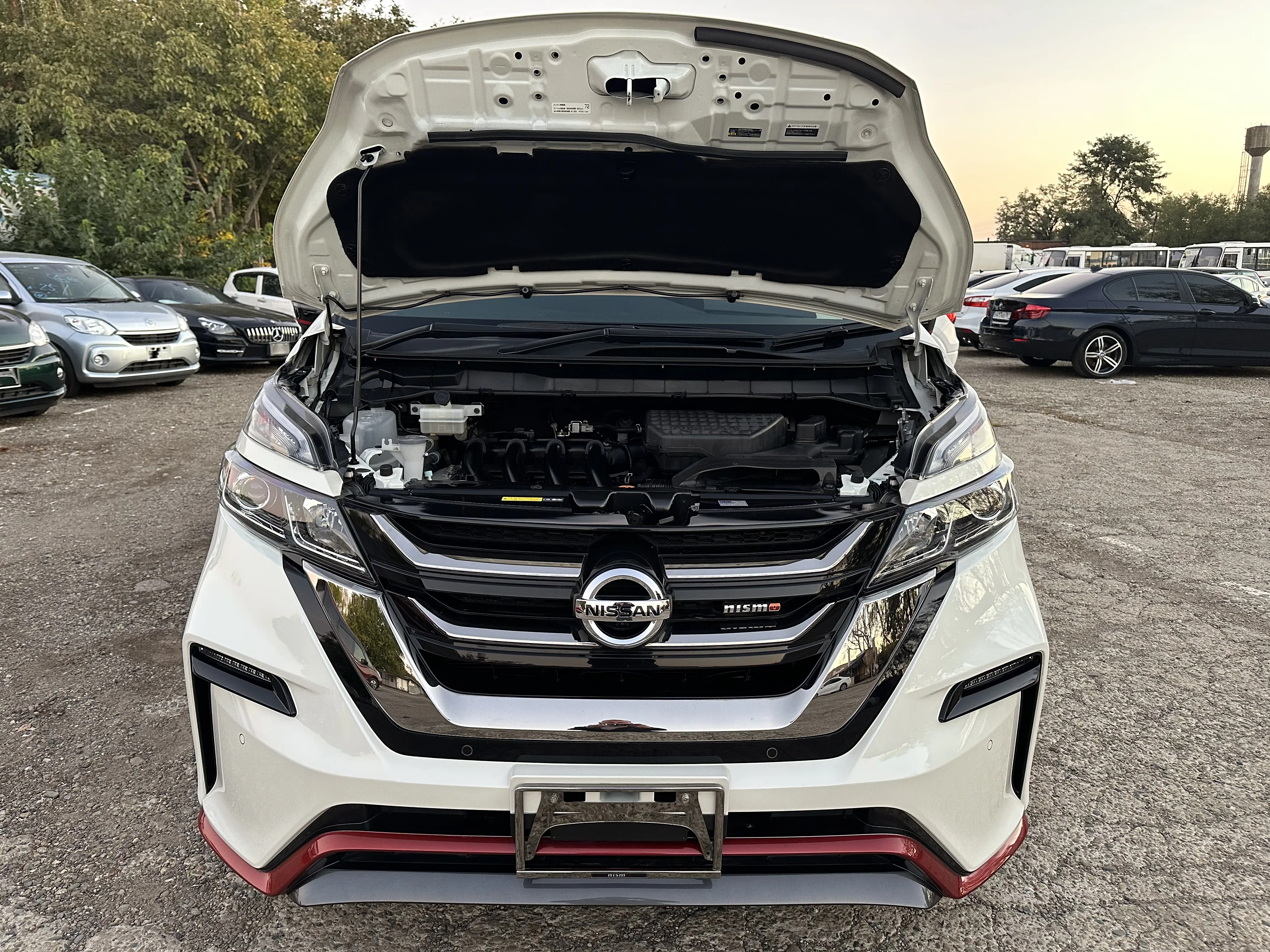 Nissan Serena, 2019