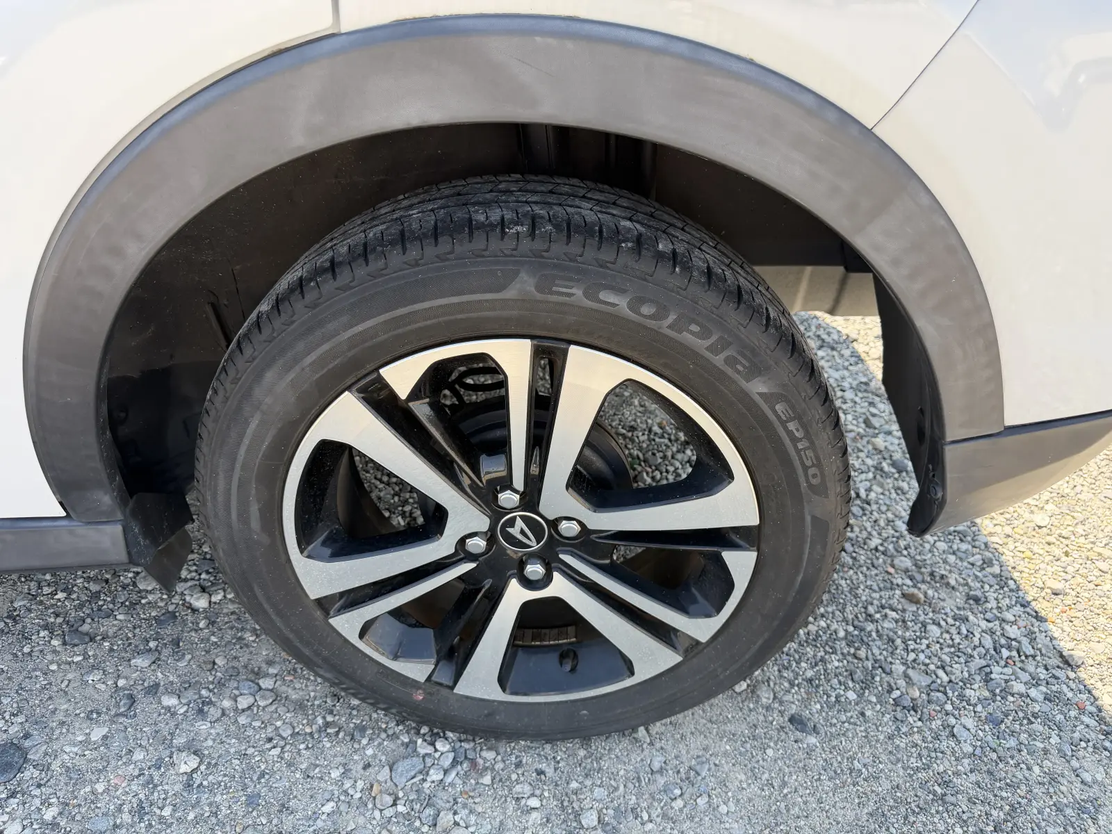 Daihatsu Rocky, 2019