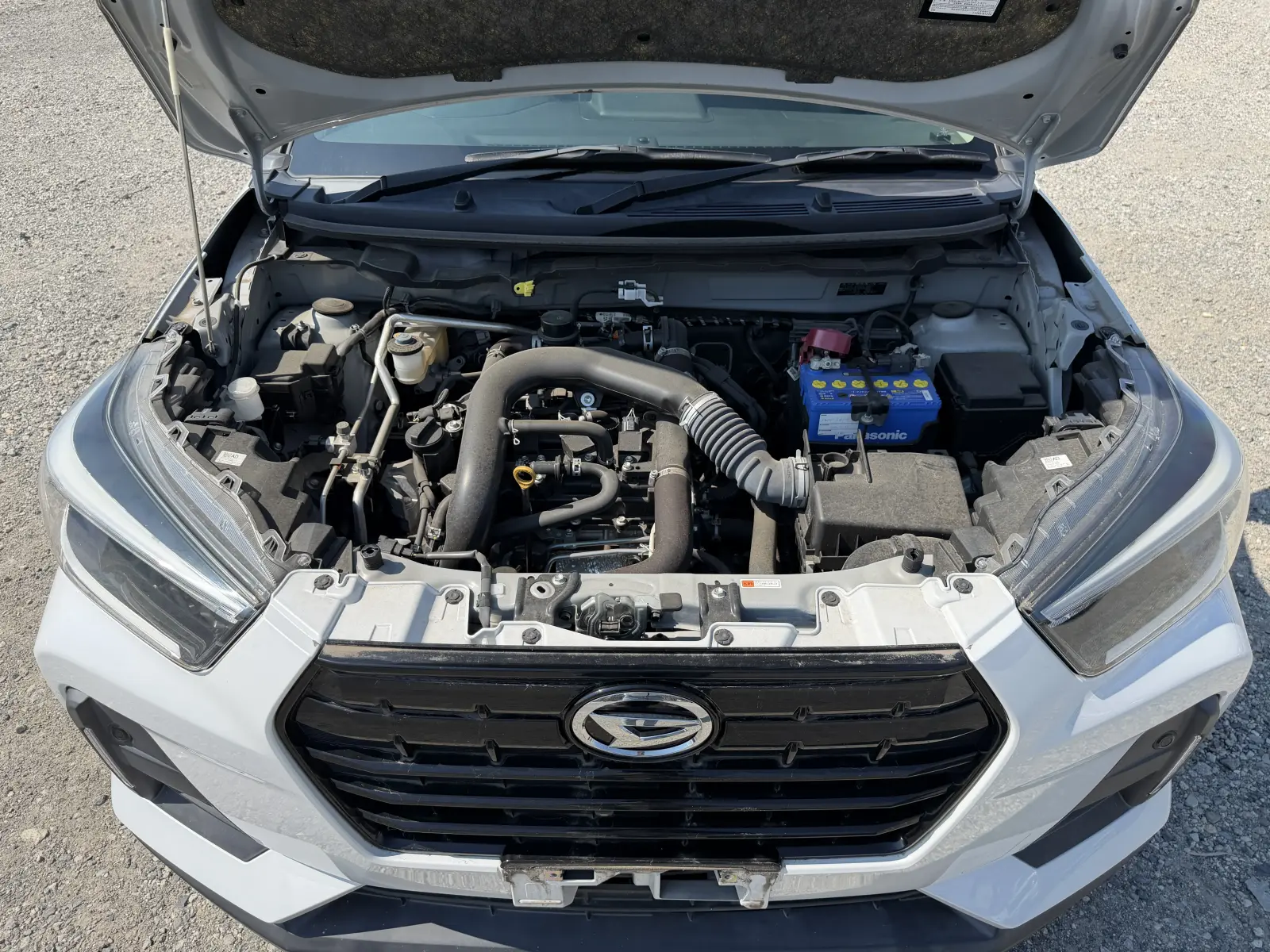 Daihatsu Rocky, 2019