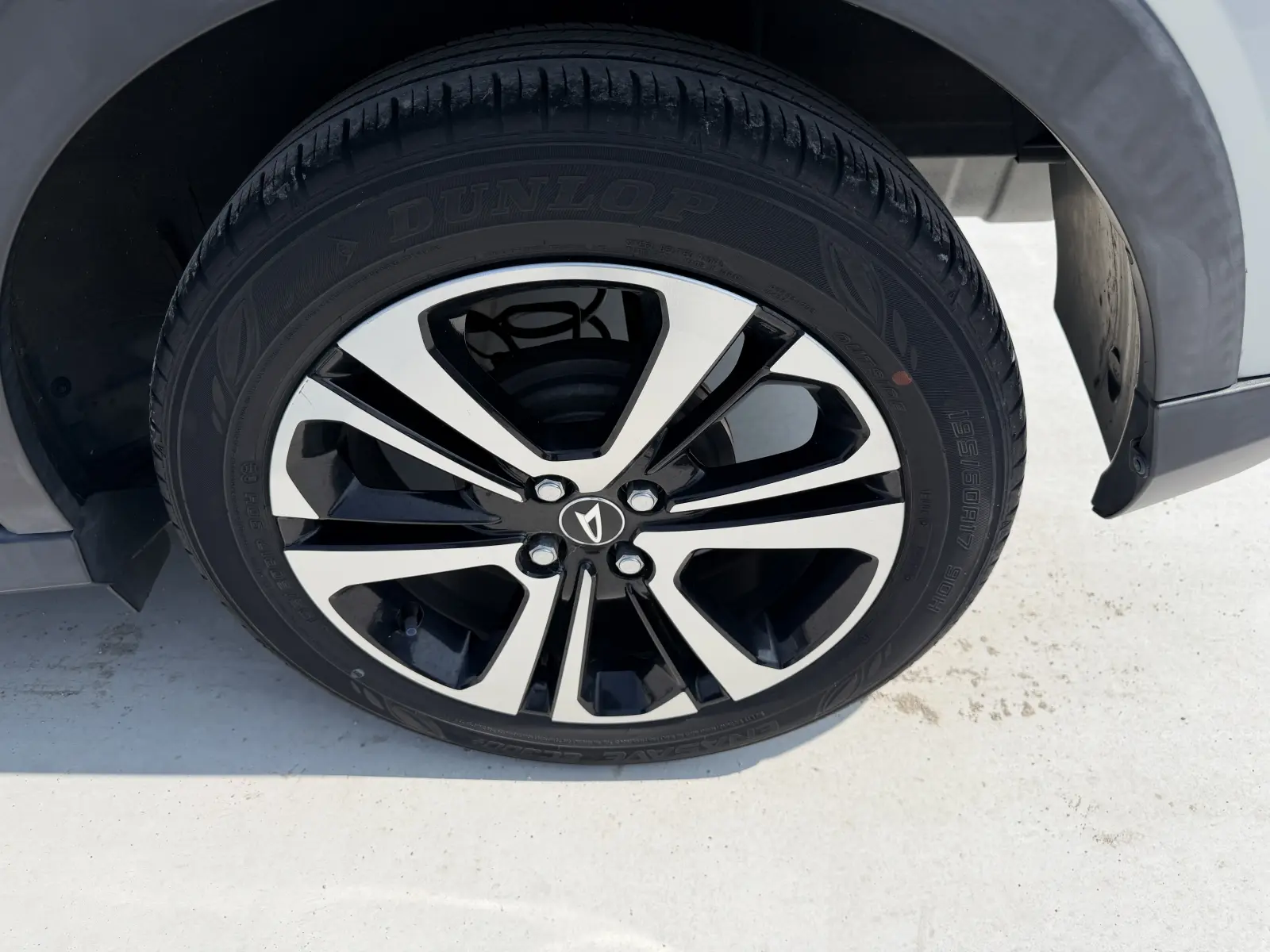 Daihatsu Rocky, 2019
