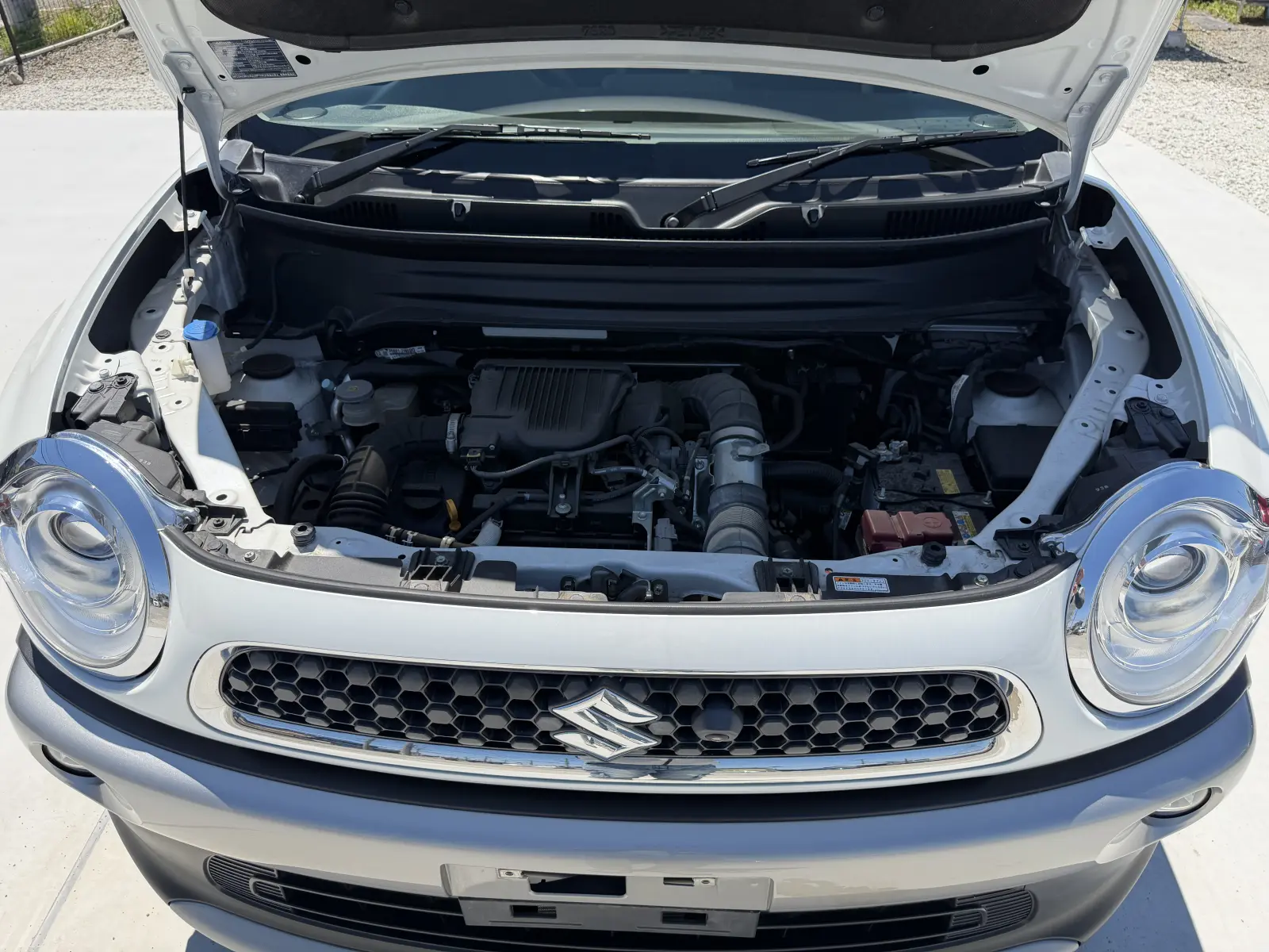 Suzuki Xbee, 2019