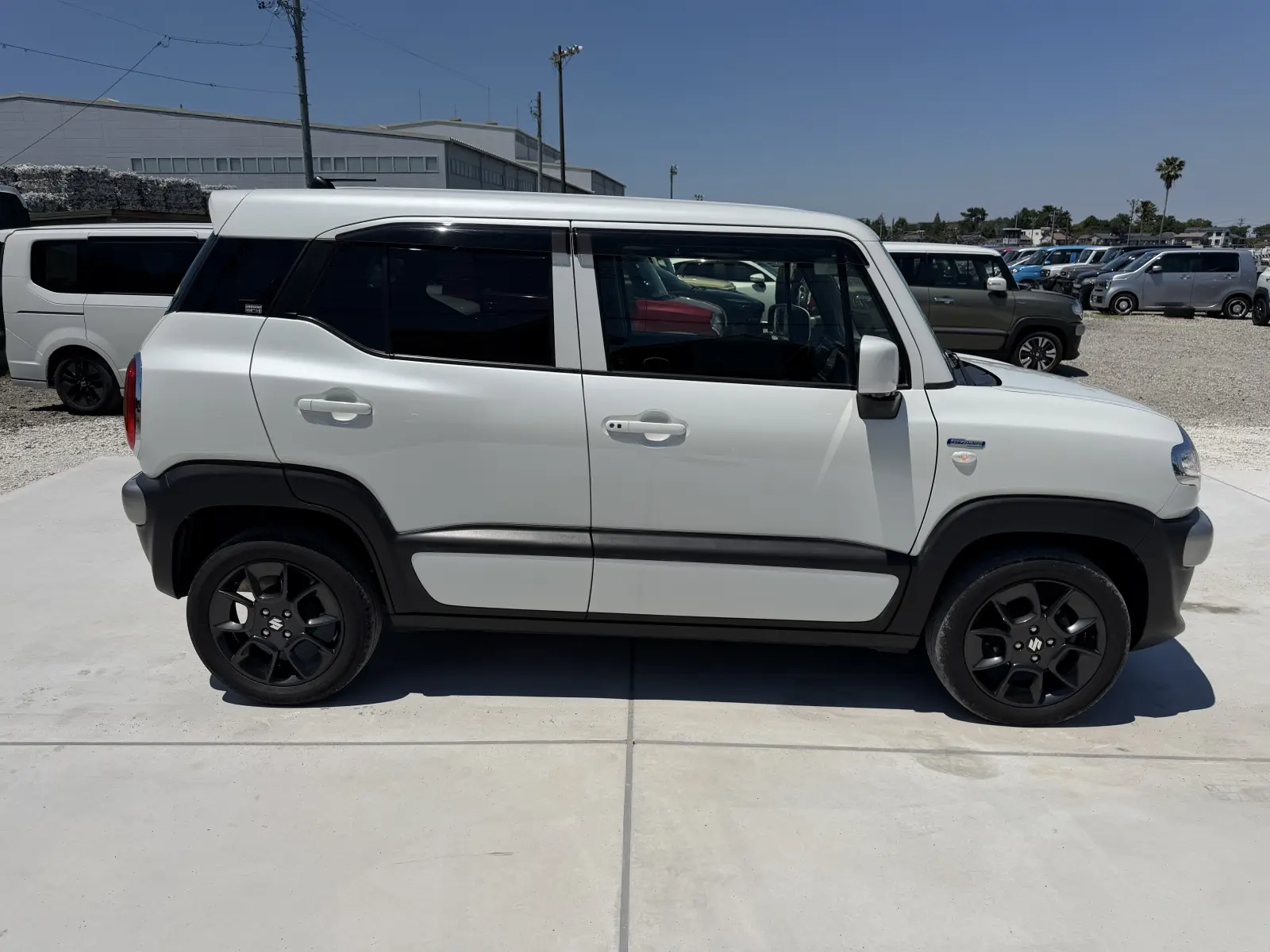 Suzuki Xbee, 2019