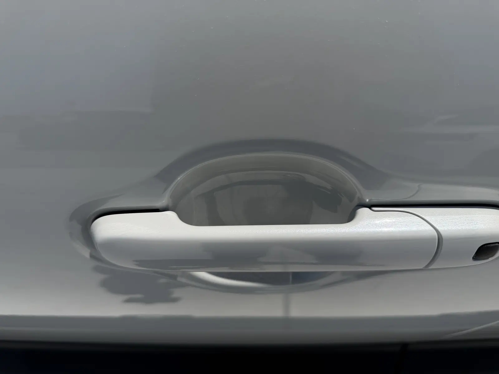 Suzuki Xbee, 2019