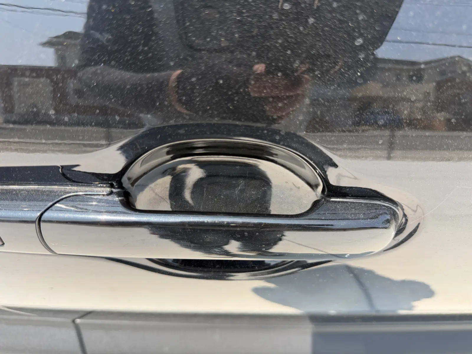 Suzuki Xbee, 2019