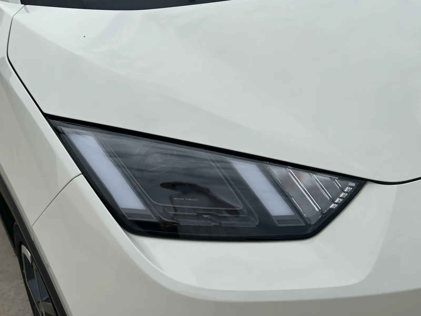 BYD Seagull, 2025