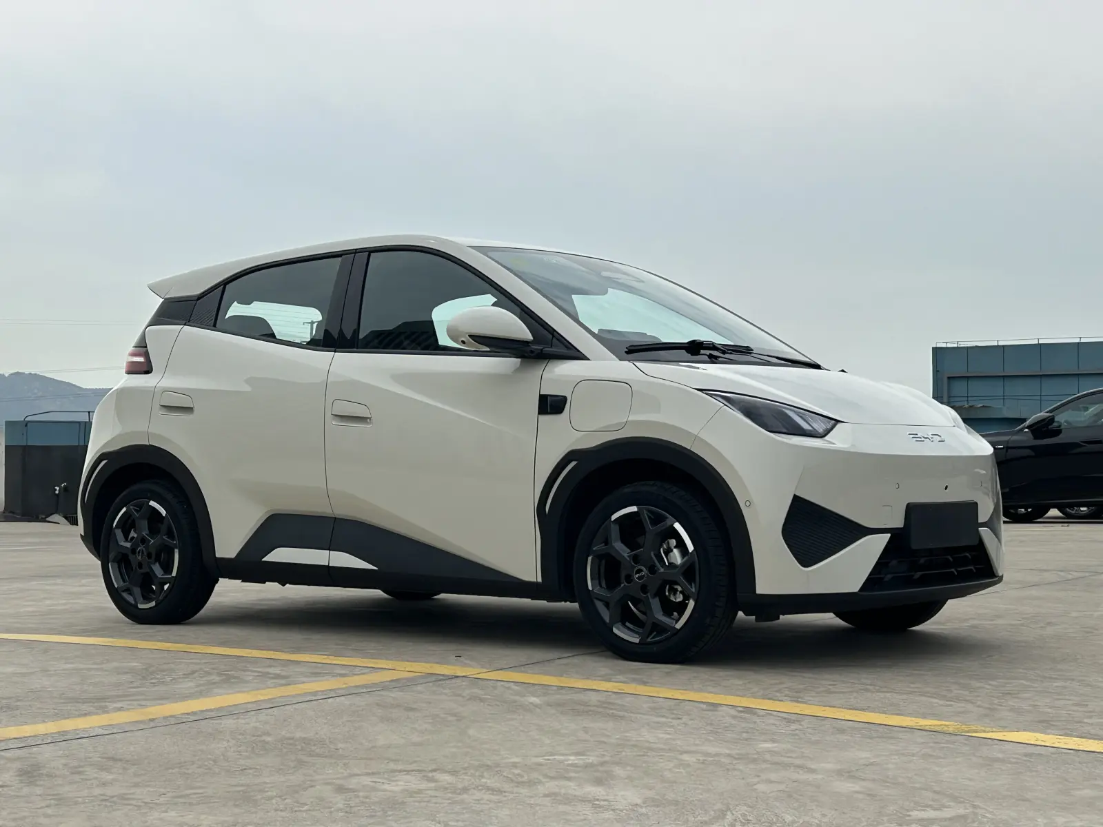BYD Seagull, 2025