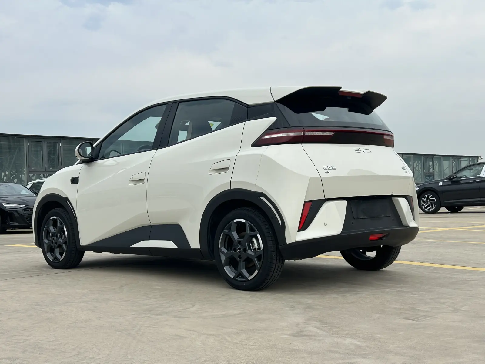 BYD Seagull, 2025