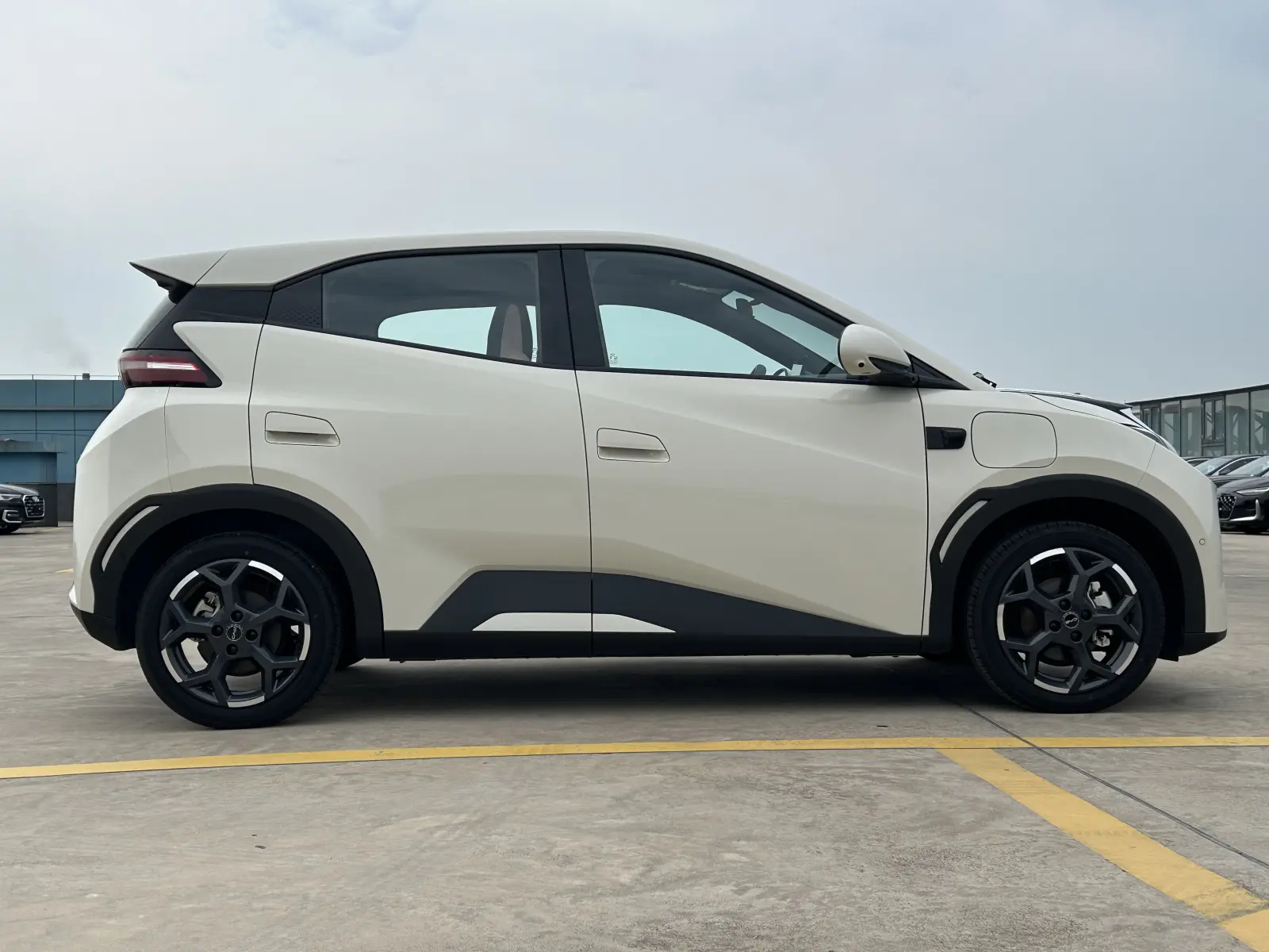BYD Seagull, 2025