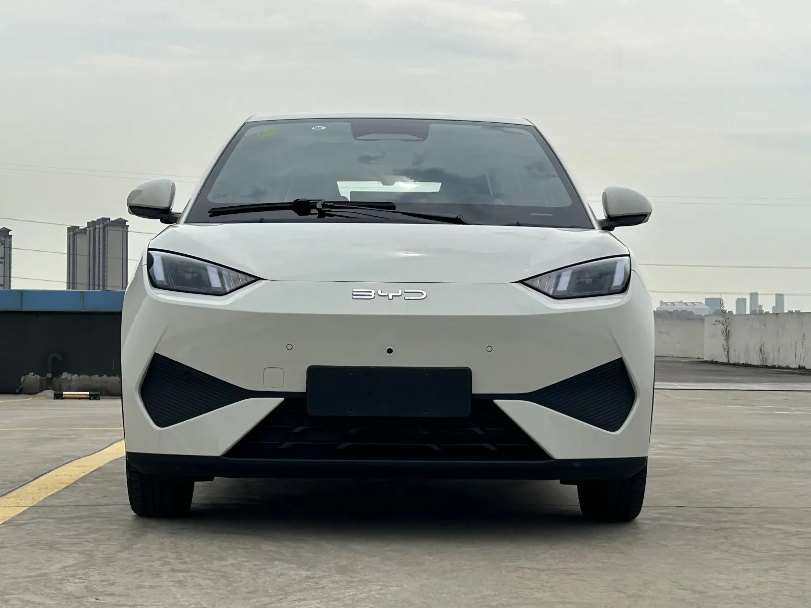 BYD Seagull, 2025