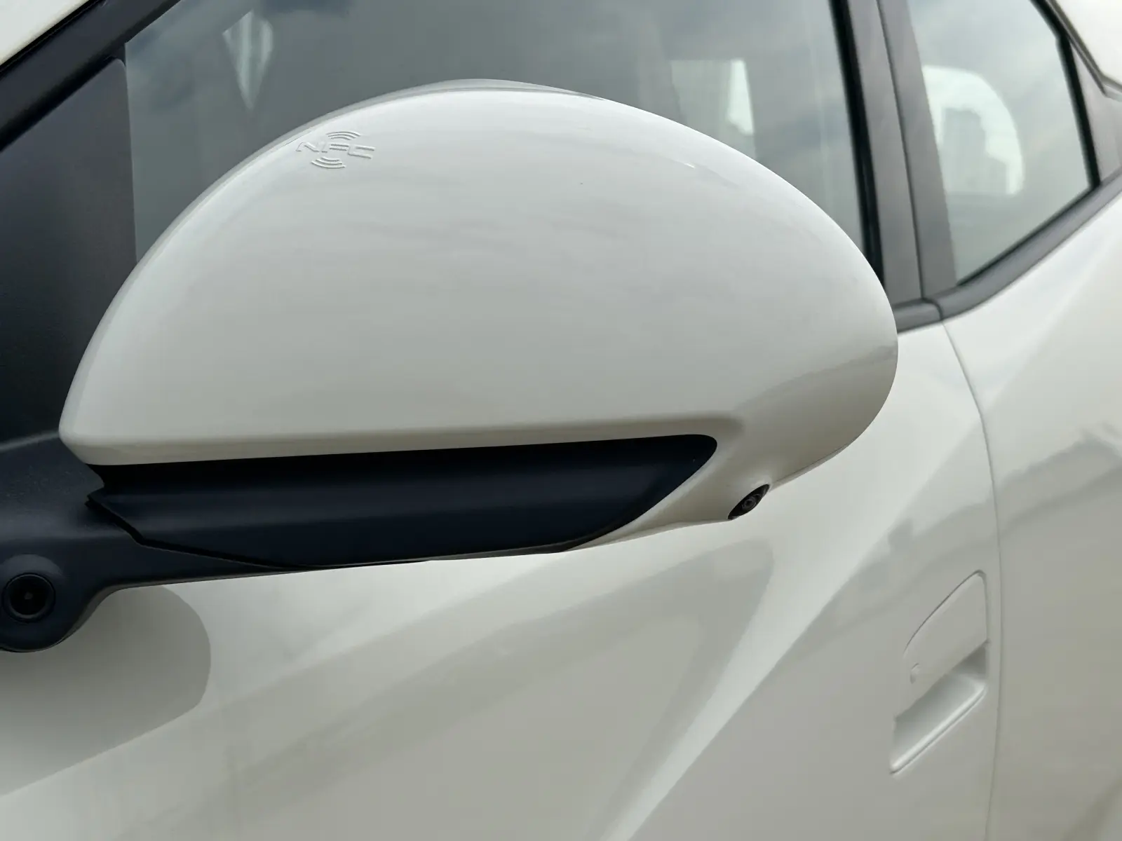 BYD Seagull, 2025