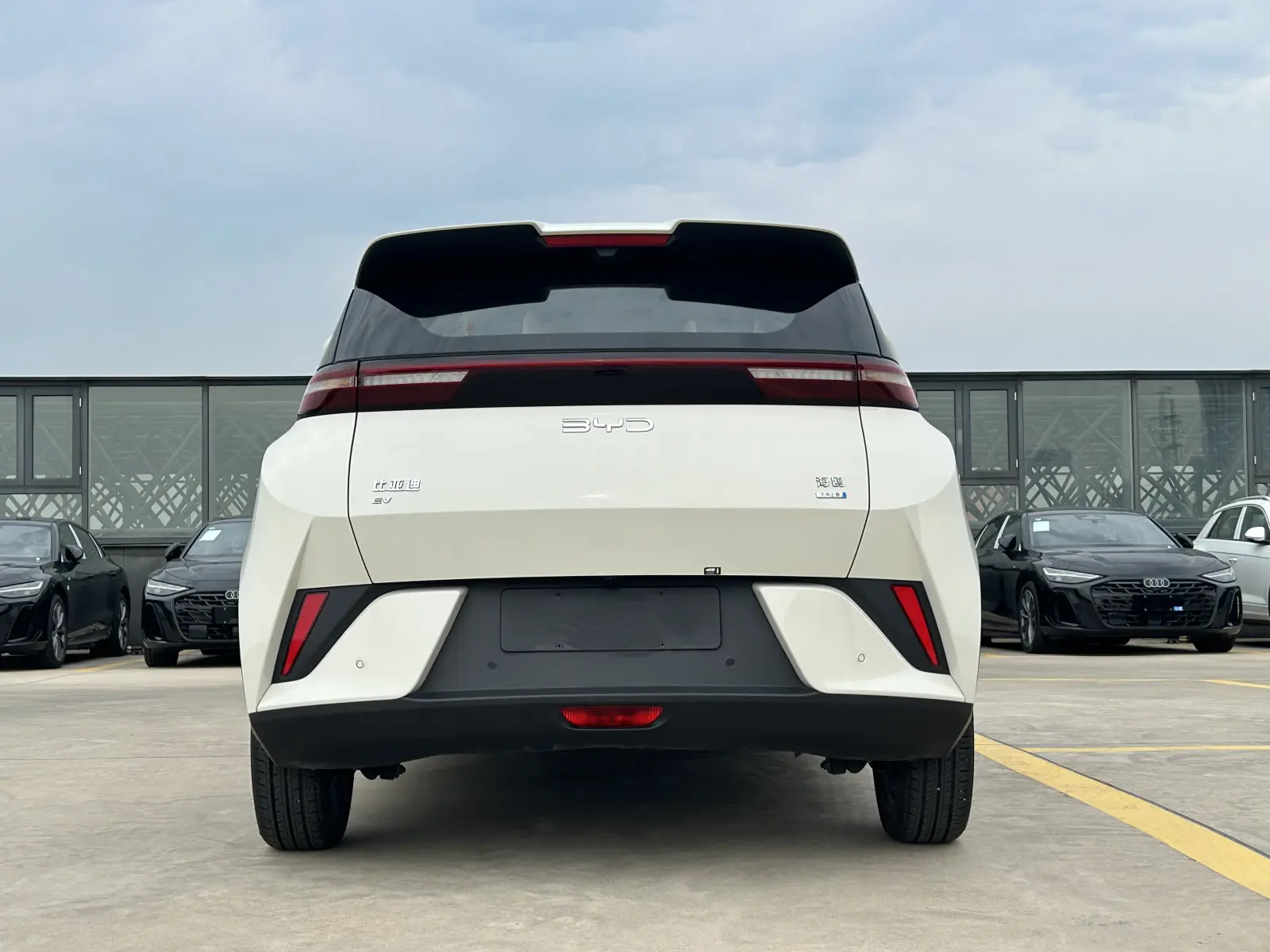 BYD Seagull, 2025