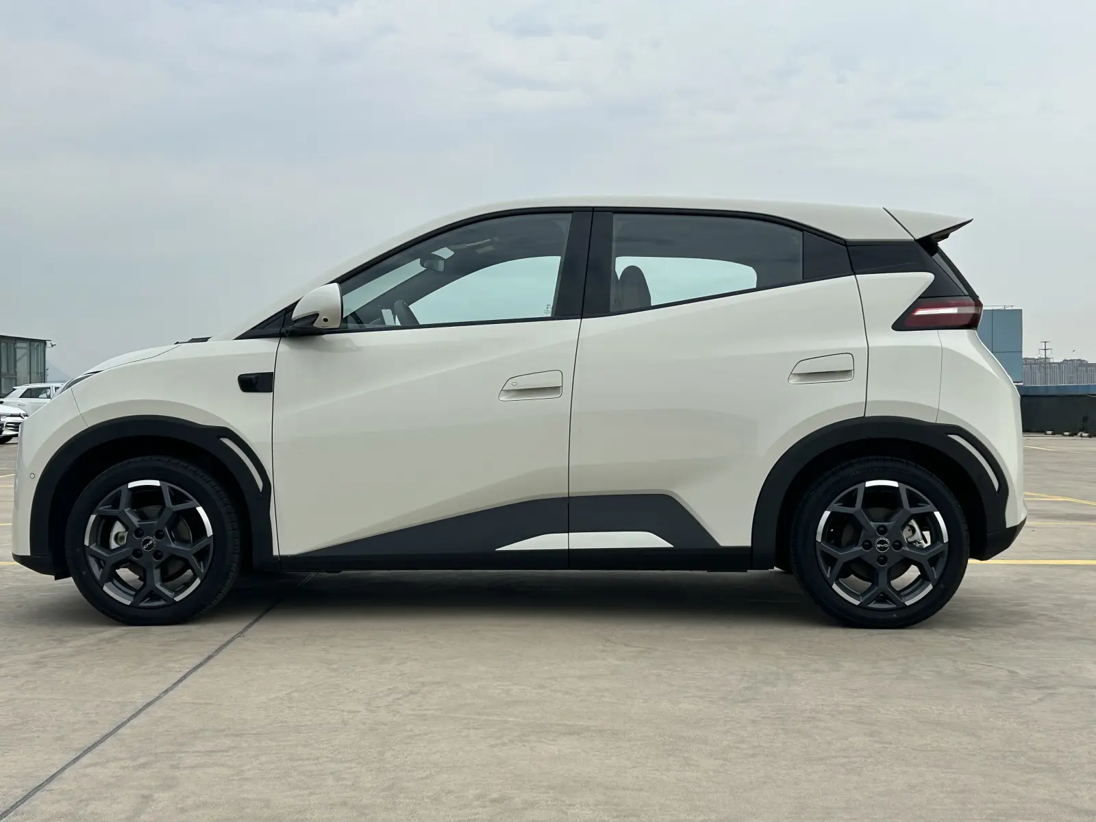BYD Seagull, 2025