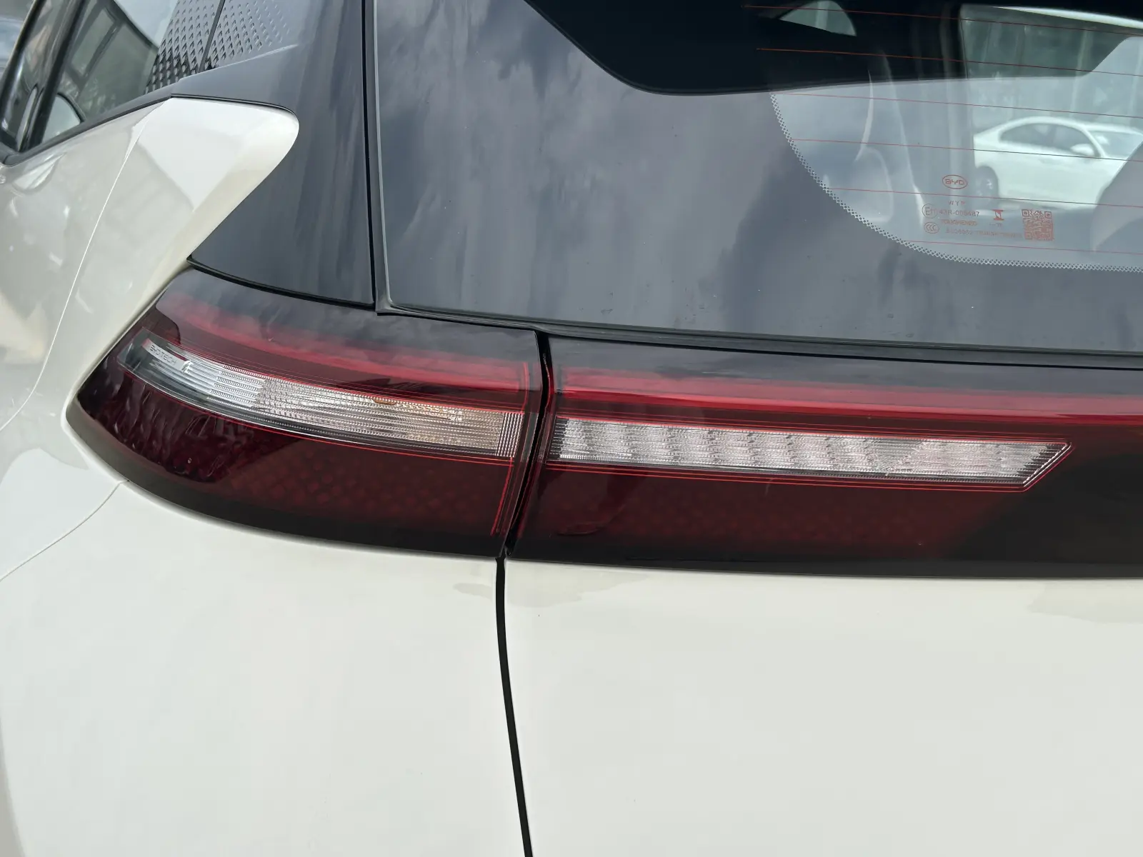 BYD Seagull, 2025
