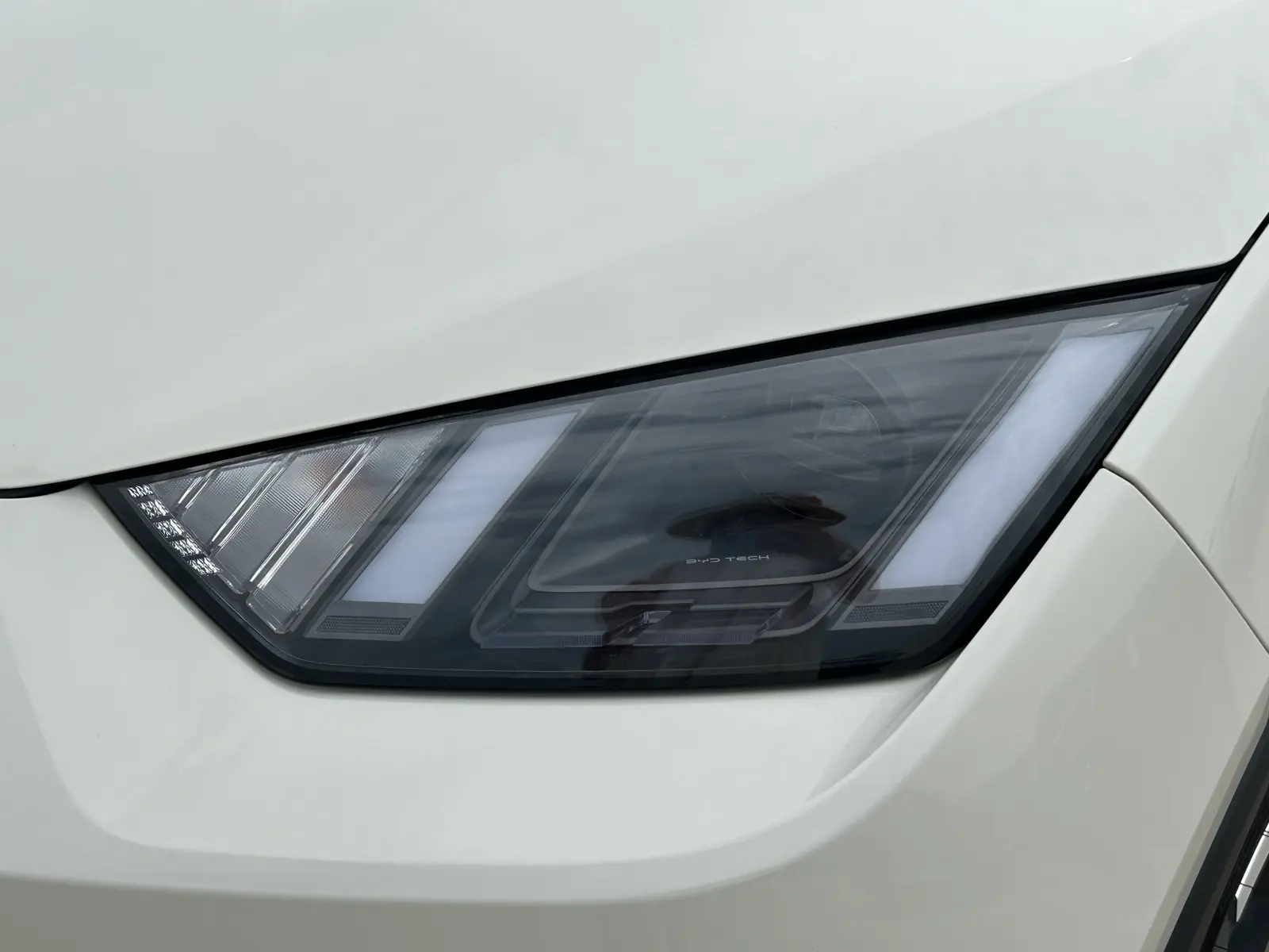 BYD Seagull, 2025