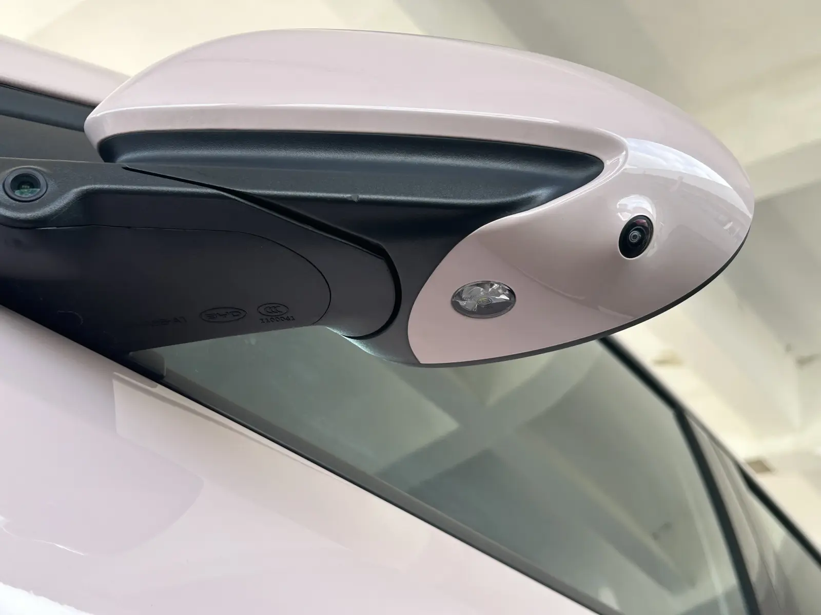BYD Seagull, 2025