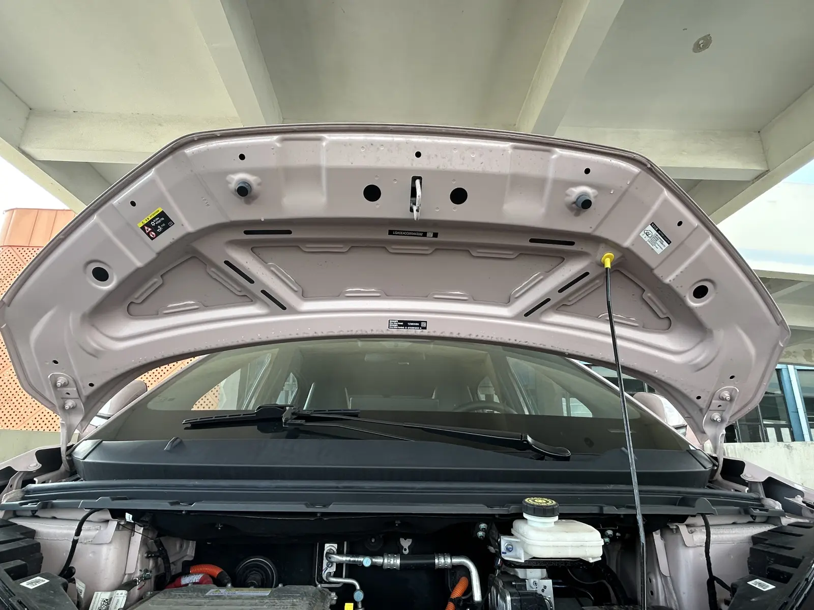BYD Seagull, 2025