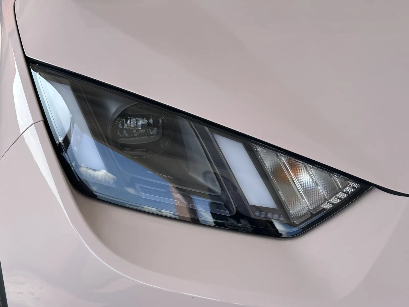 BYD Seagull, 2025