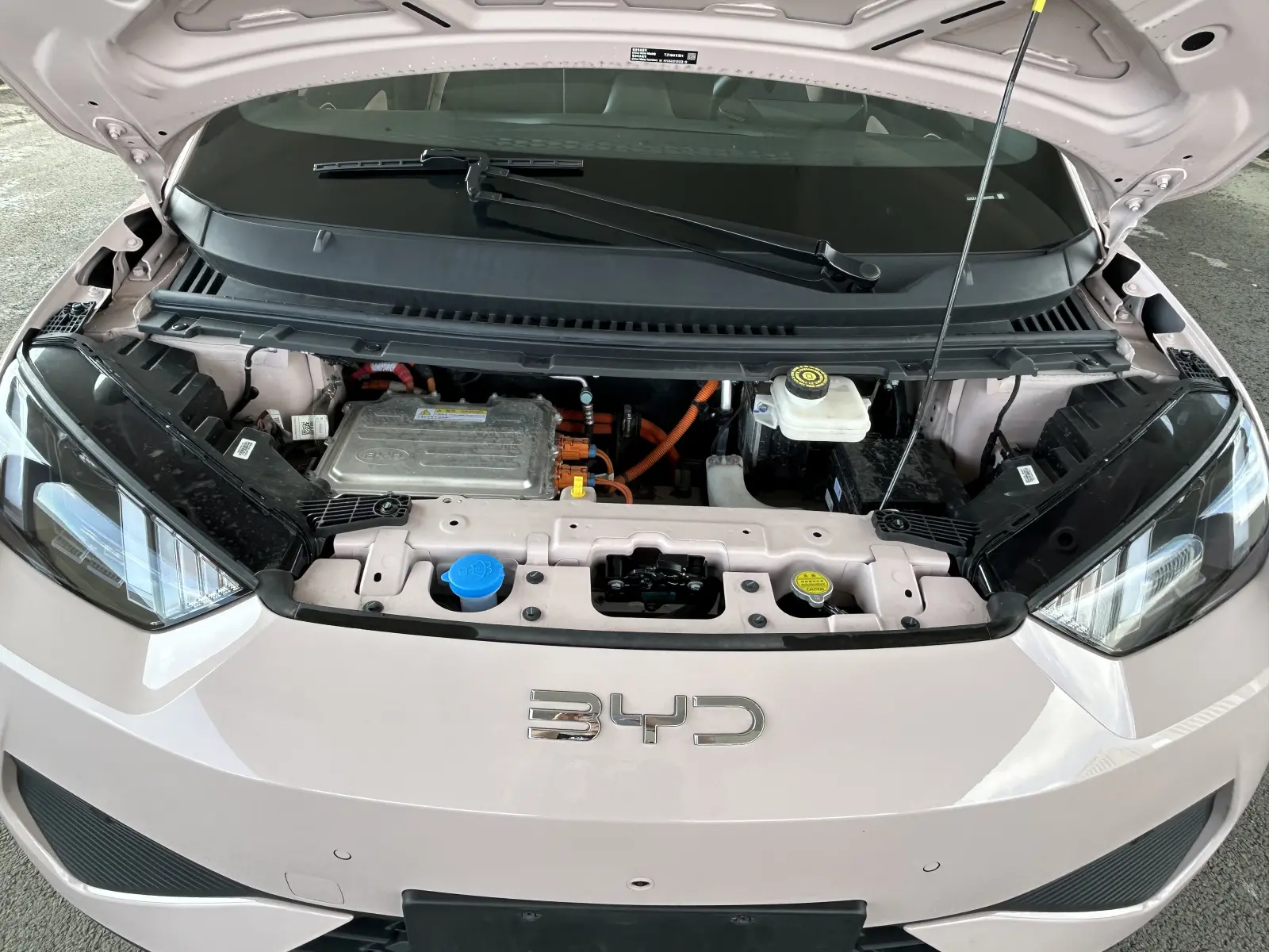 BYD Seagull, 2025