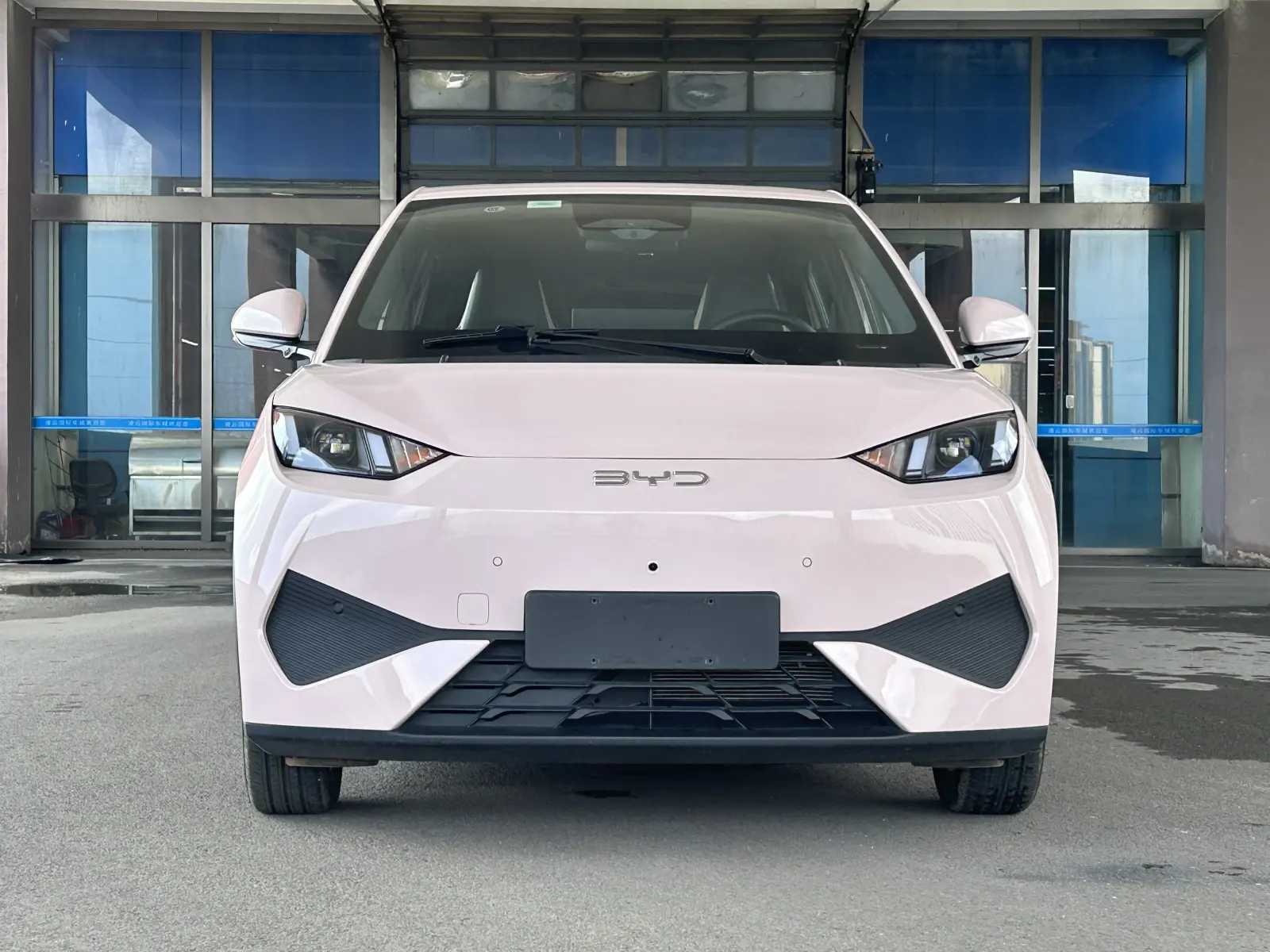 BYD Seagull, 2025