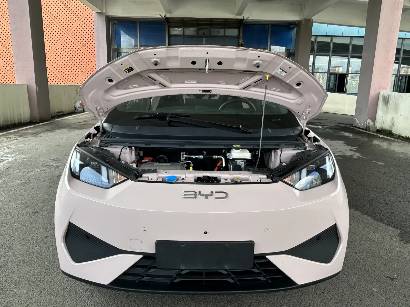 BYD Seagull, 2025